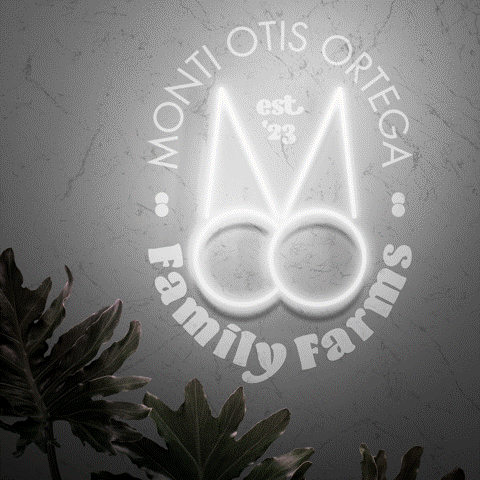 MOO Family Farms Ice Cream | Neon-Leuchtreklame für Eiscafé