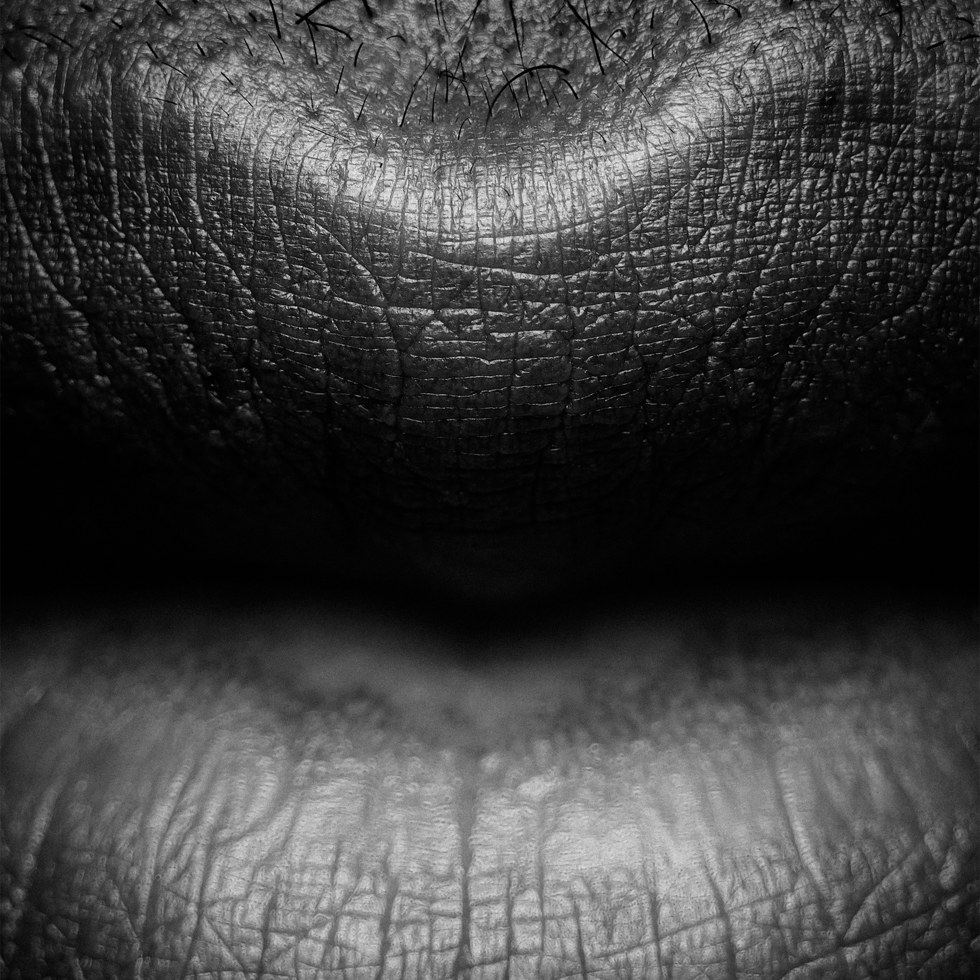 Service-Thumbnail | Outcall 01