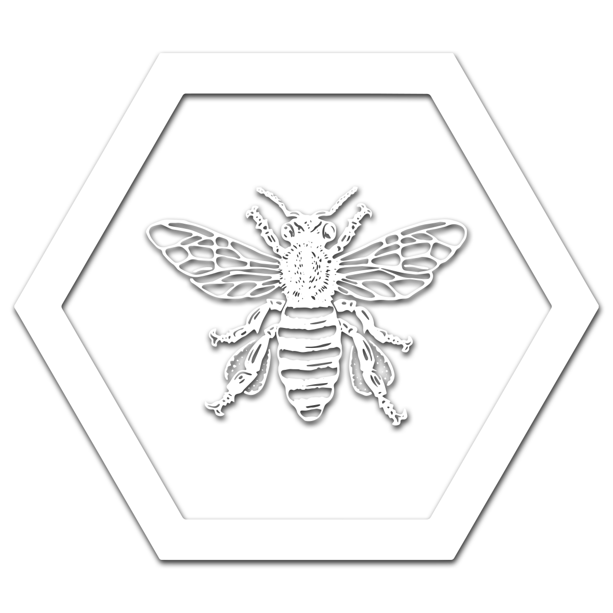 Das Symbol für Bürger*innenversammlungen, eine Biene in einer Wabe