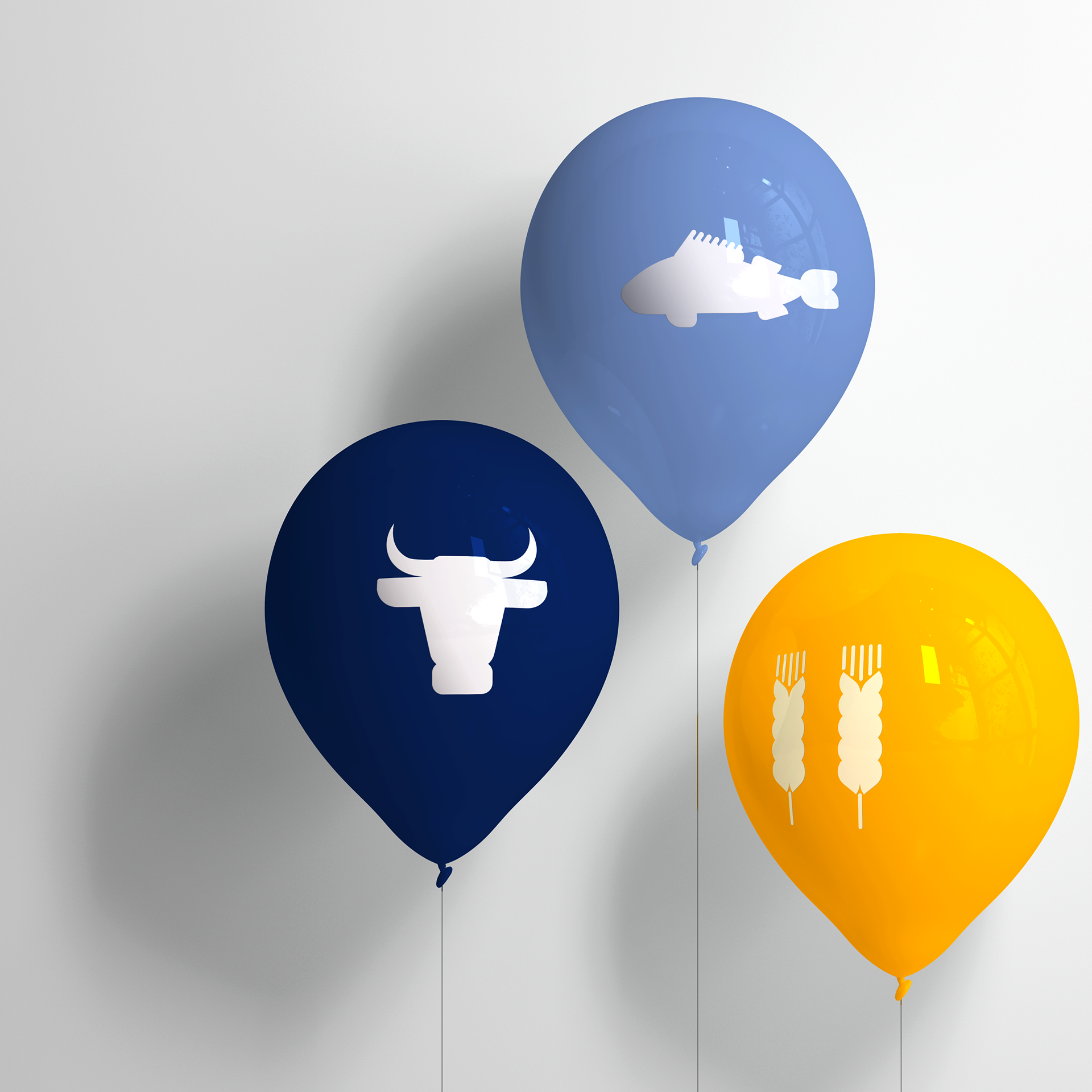 21 | Luftballons in den Farben der Gemeinde Schönberg für Veranstaltungen der Gemeinde
