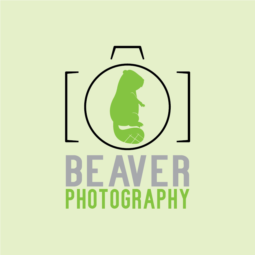 Beaver Photography (2013)