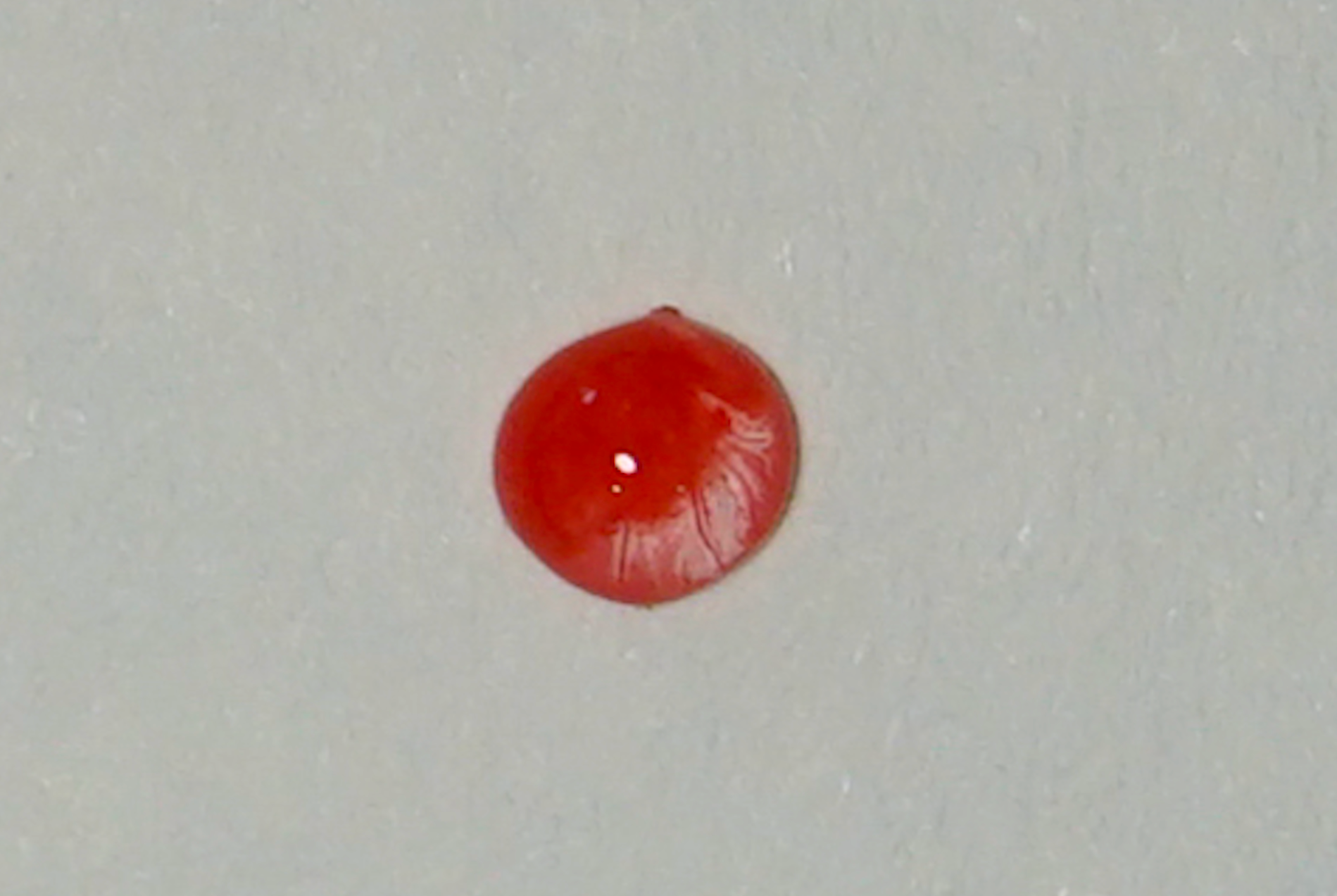 Watercolour pigments in water droplets as an animated medium