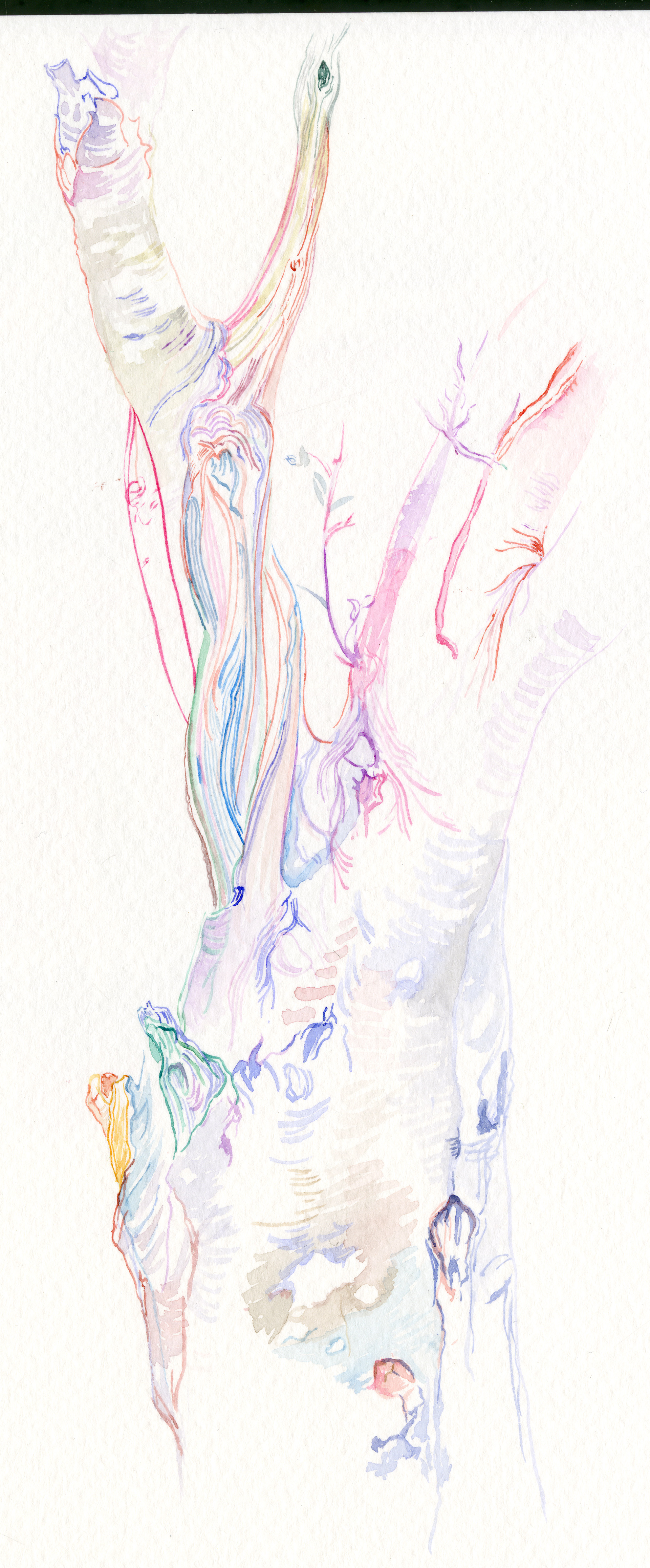 watercolour paintings depicting the Scottish landscape