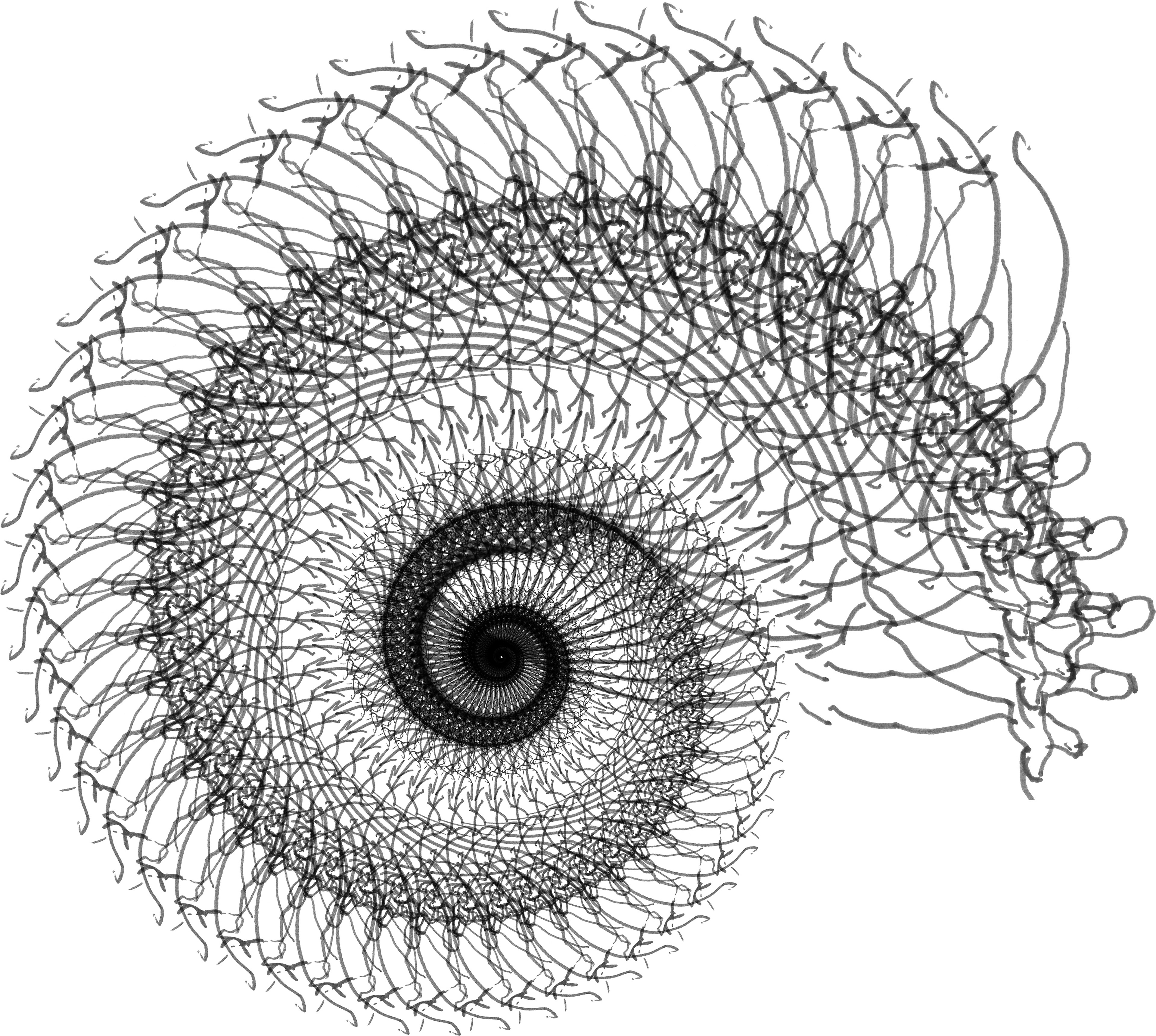 Computer-generated fractal images derived from the drawing at various scales