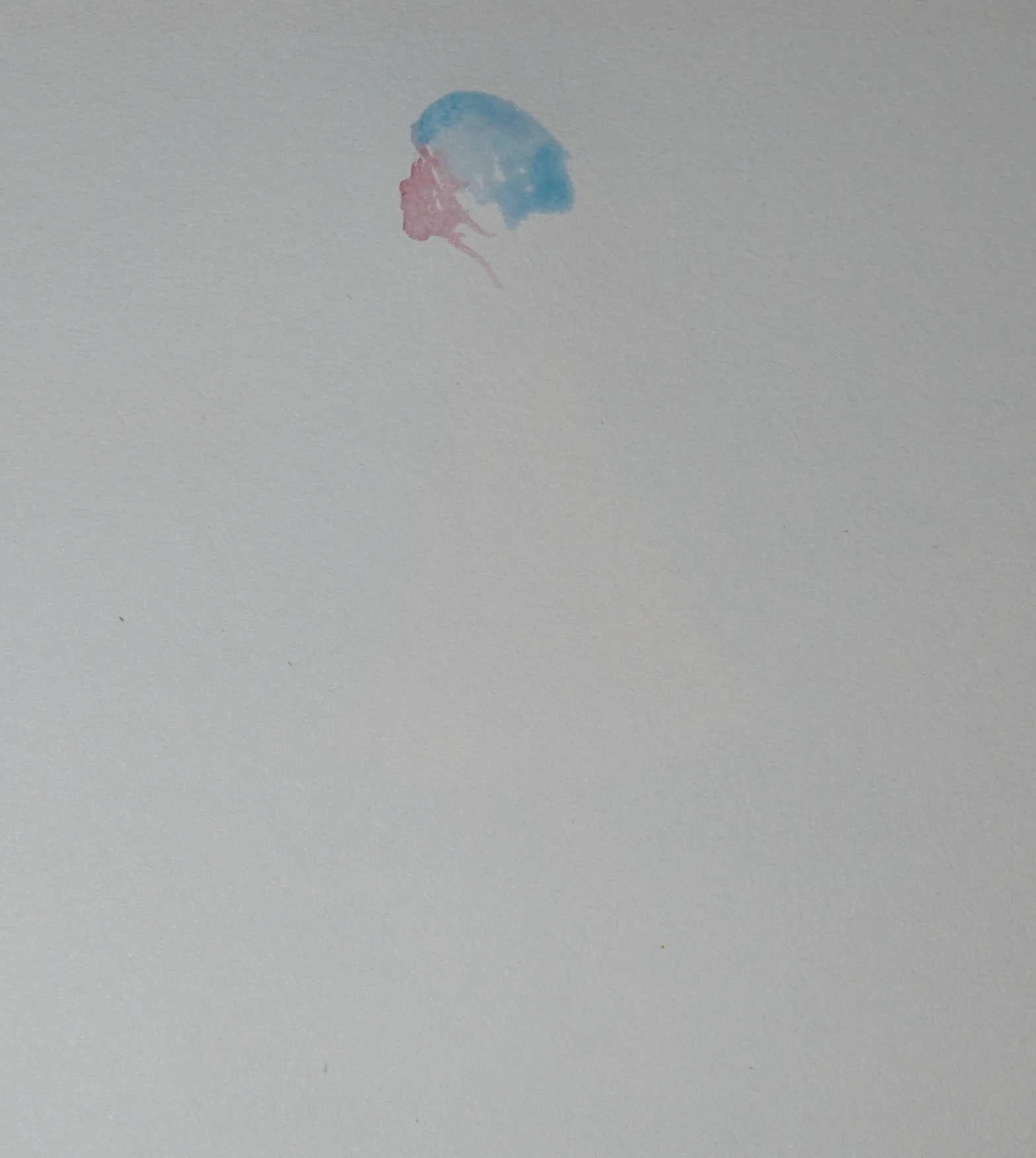 Watercolour painting for an individual animated frame - time-lapse