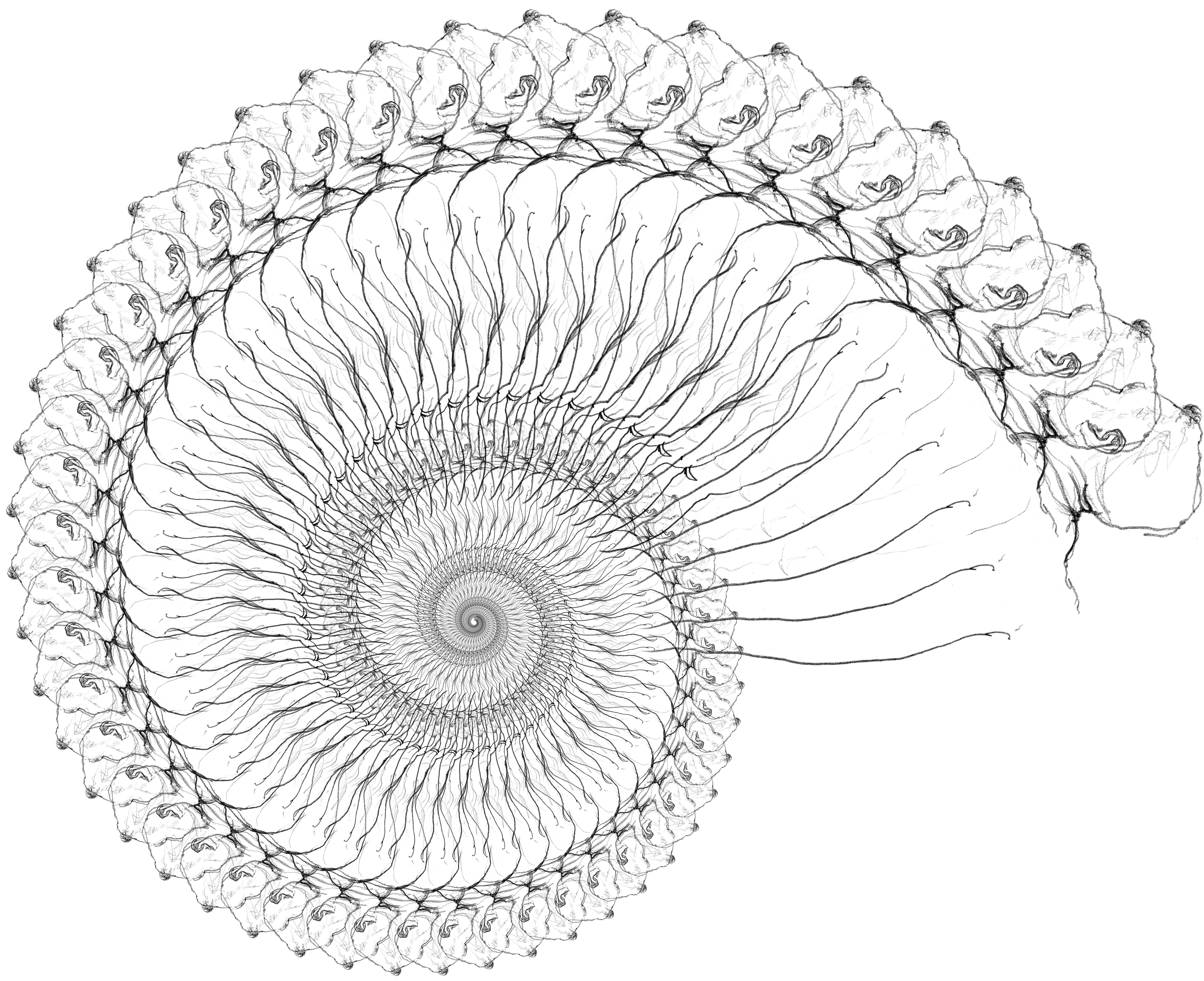 Computer-generated fractal images derived from the drawing at various scales
