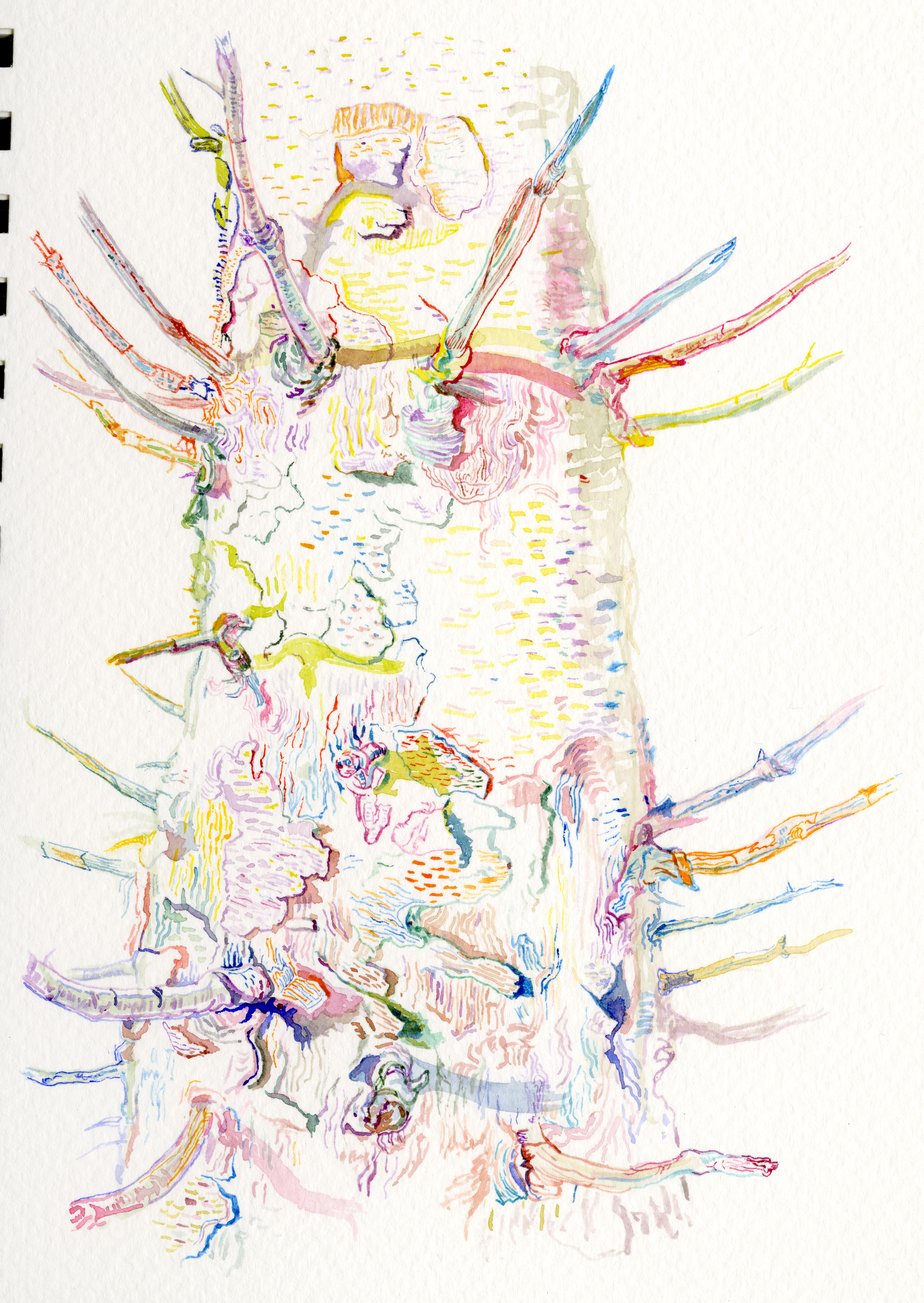 watercolour paintings depicting the Scottish landscape