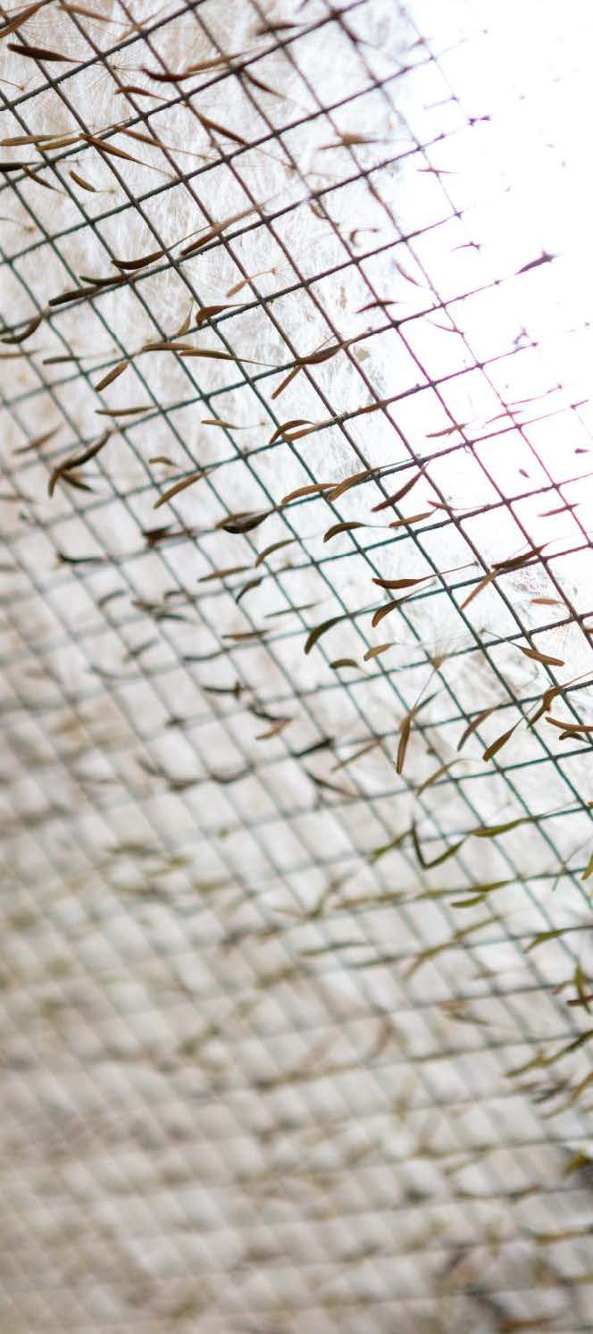 Photo: © David Frommhold: David Frommhold