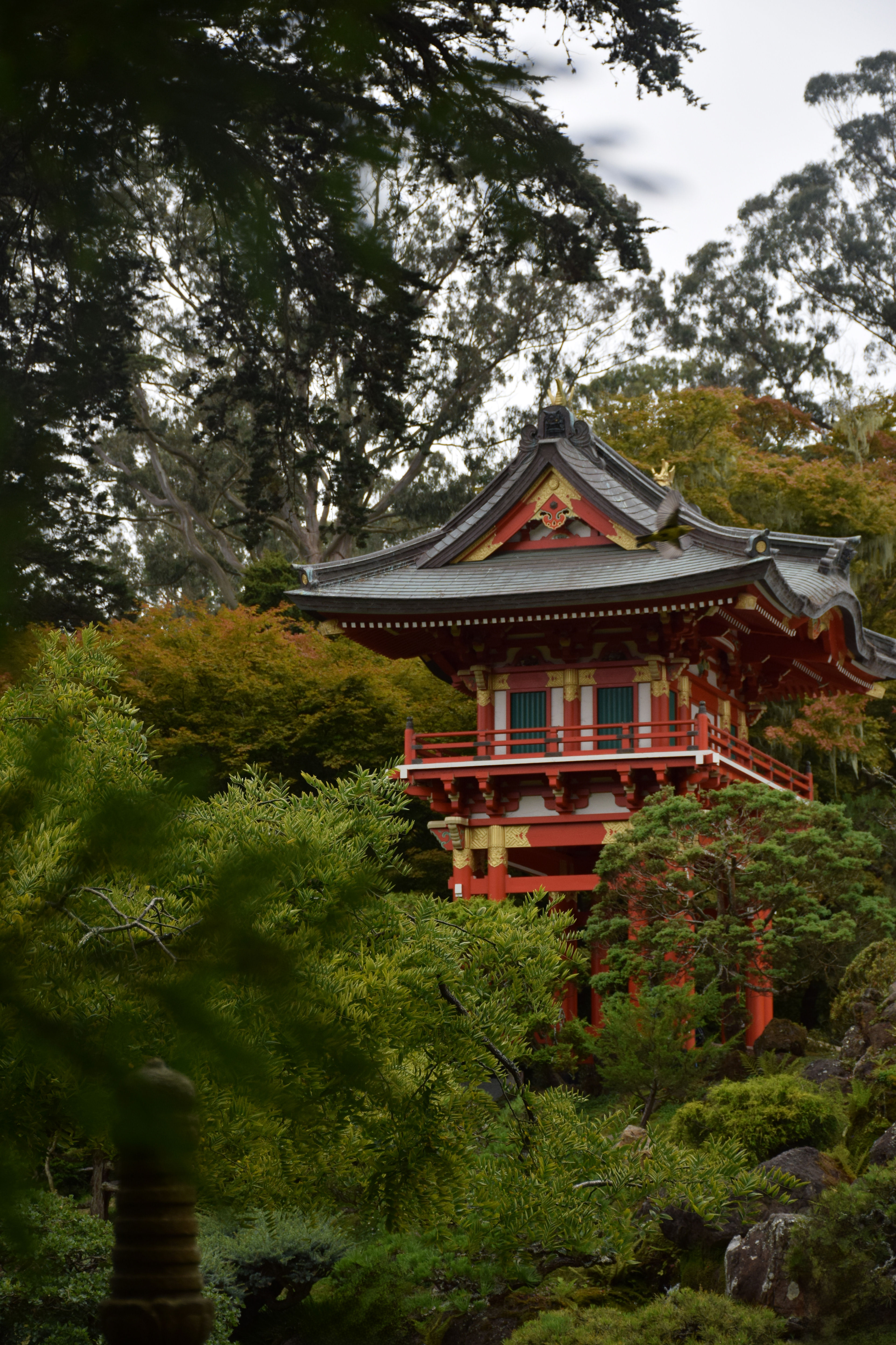 Japanese Tea Garden, San Francisco