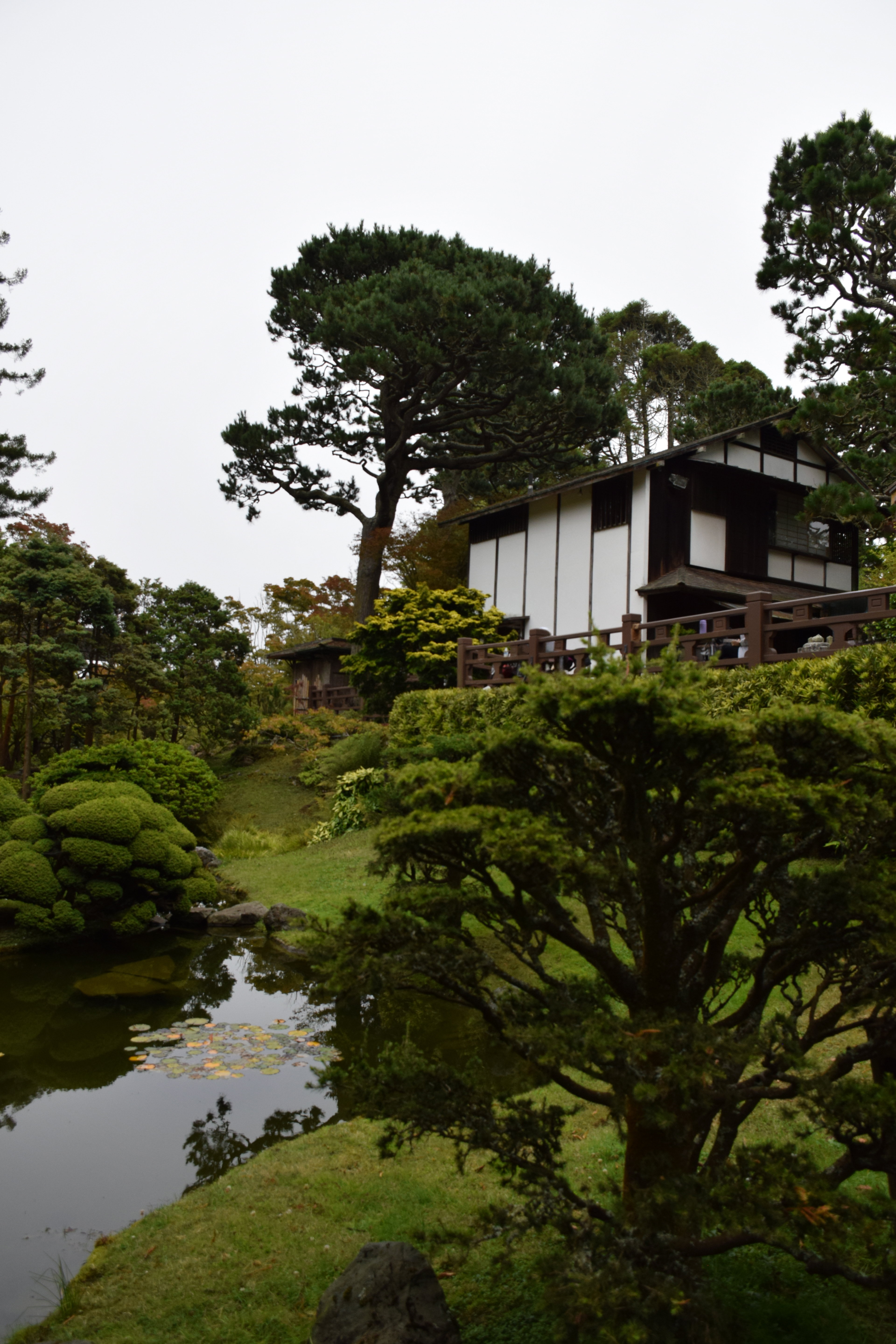 Japanese Tea Garden, San Francisco
