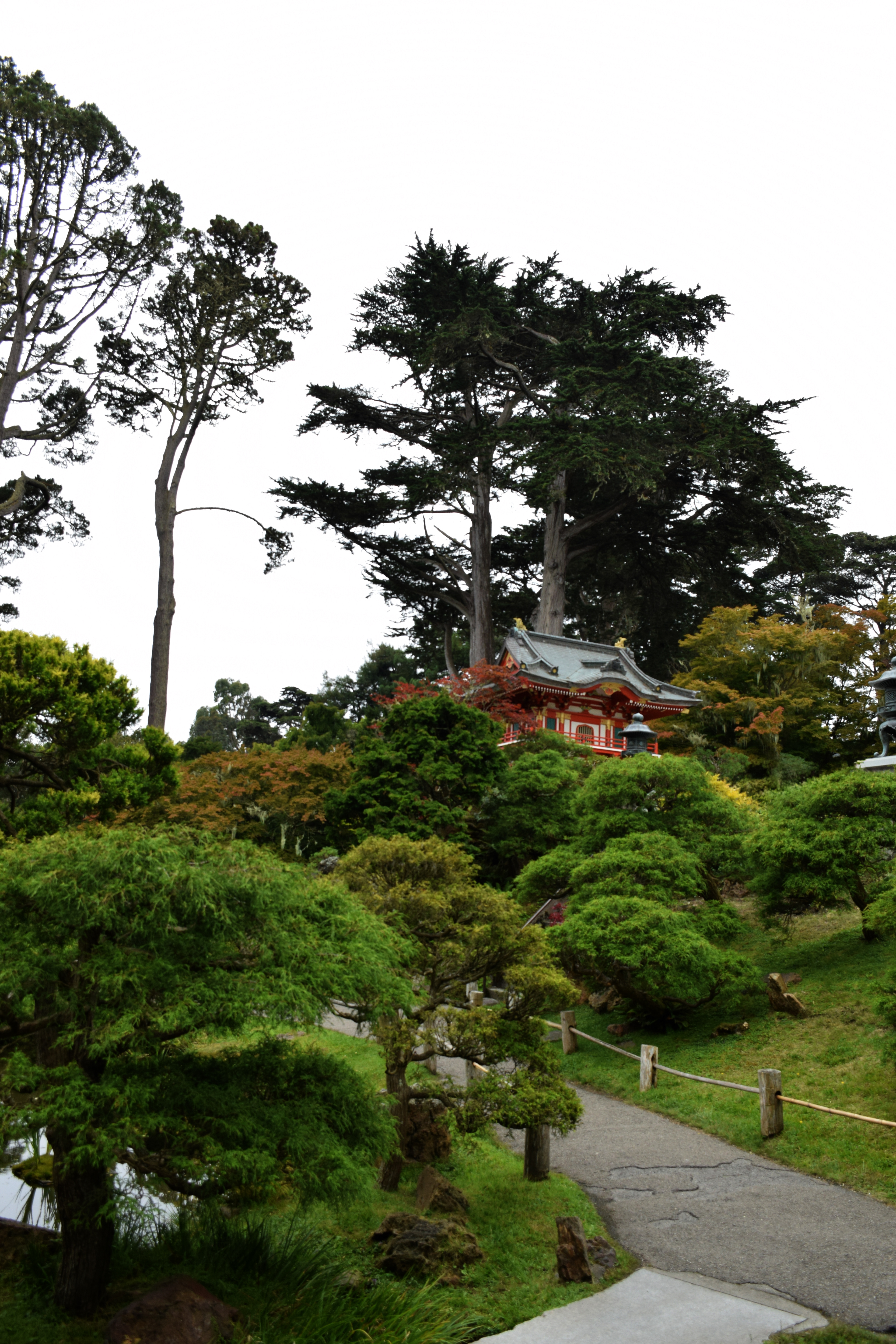 Japanese Tea Garden, San Francisco