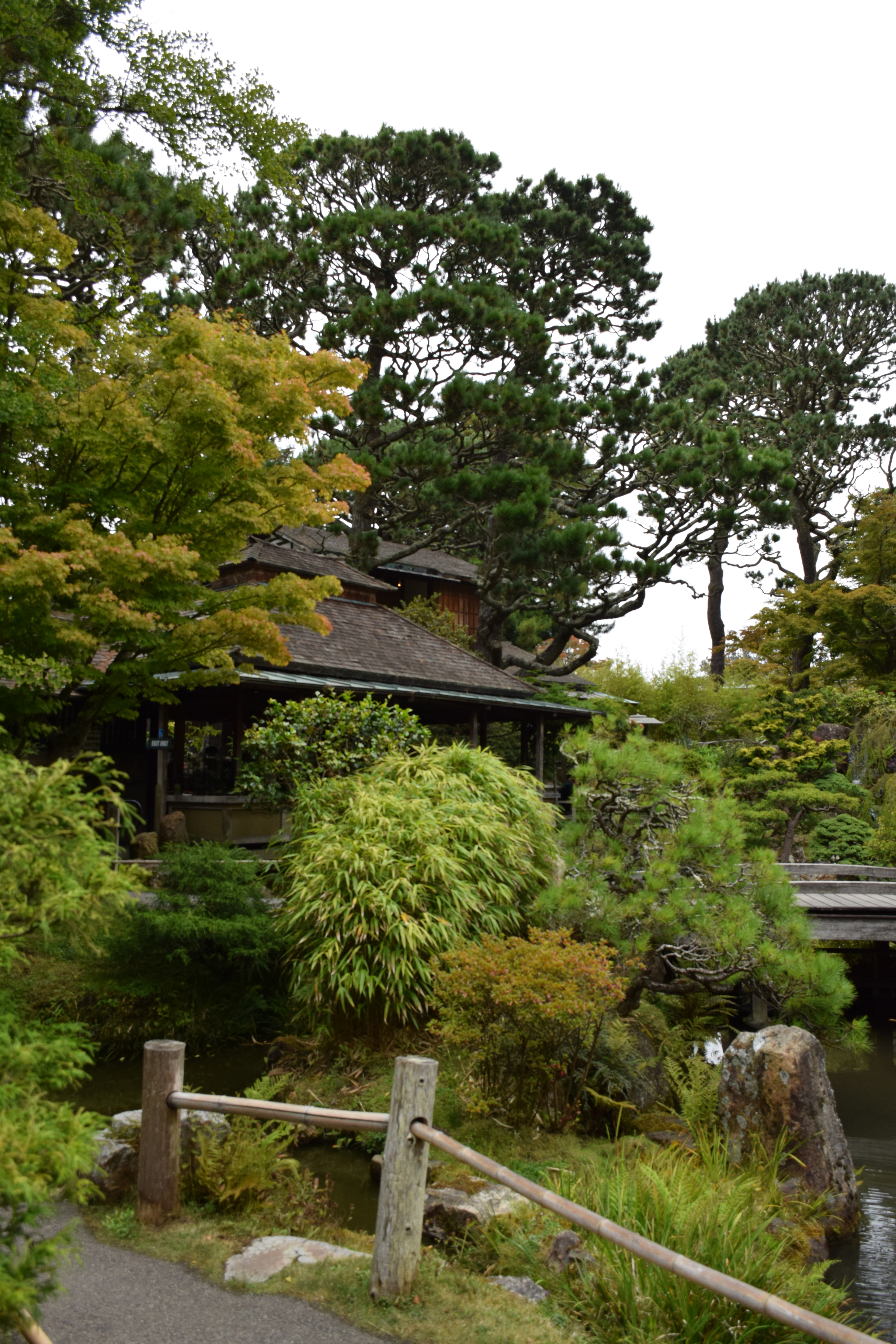 Japanese Tea Garden, San Francisco