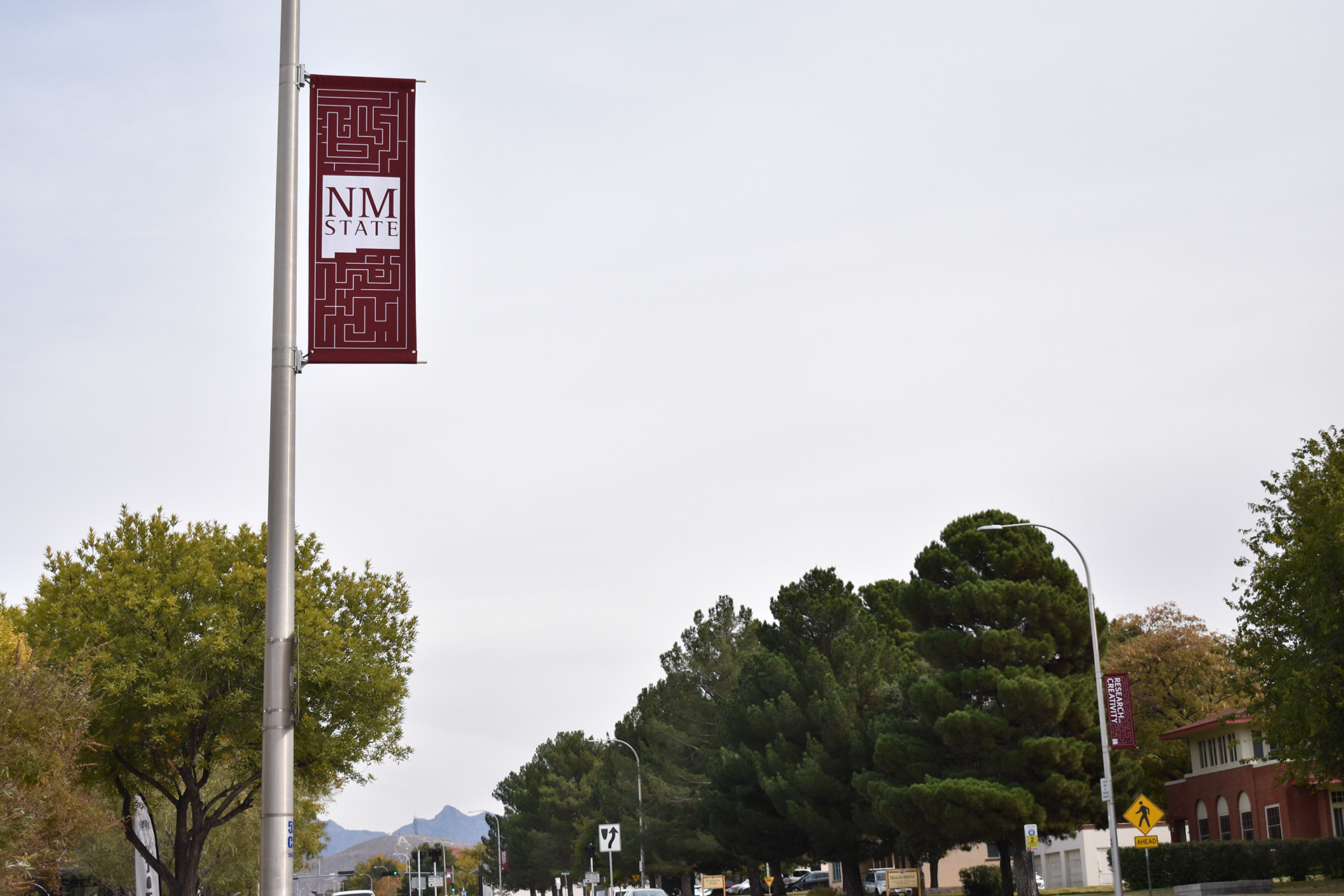 The selected poster displayed along University Ave., one of the city's major roads bordering the campus