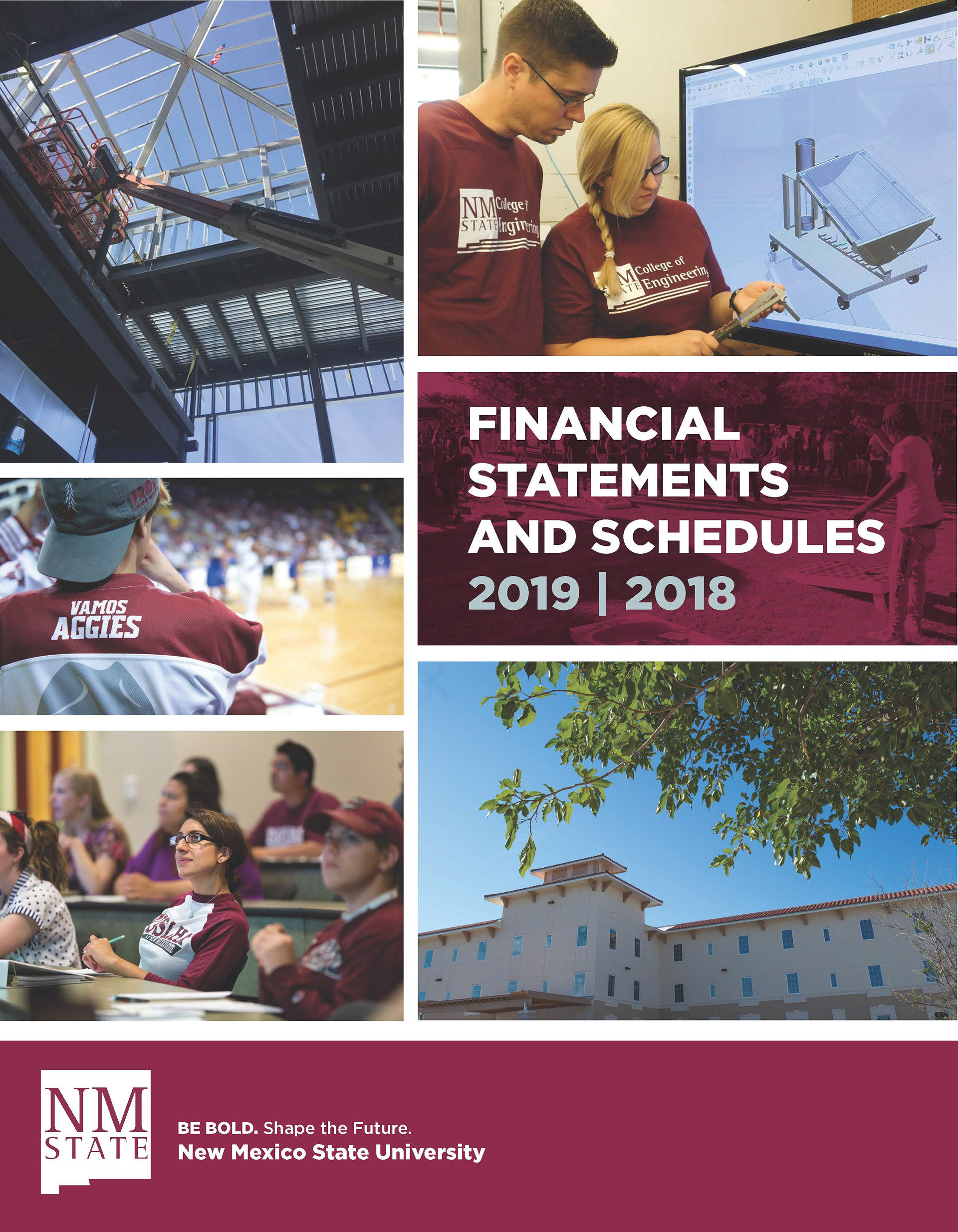 Financial Statements editorial cover