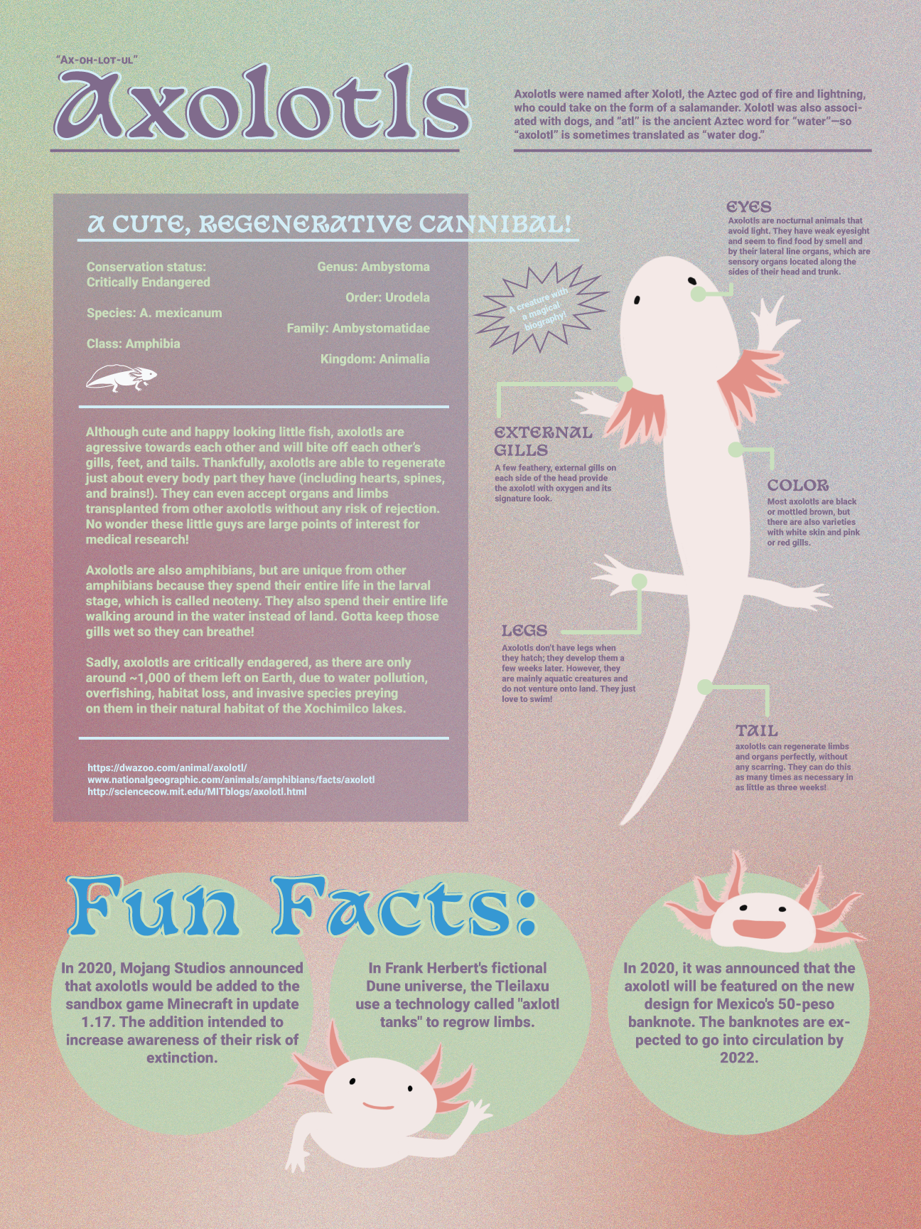 Informative Poster Design Concept 2
