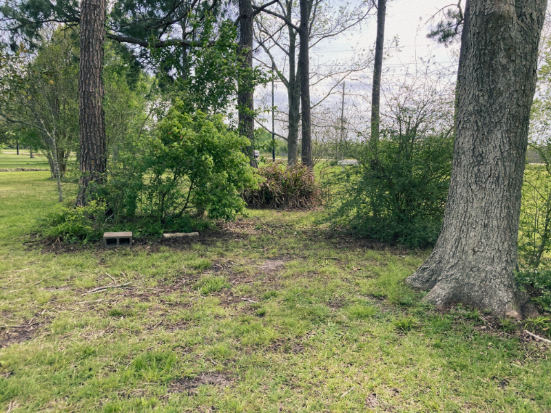 Woodland Retreat before