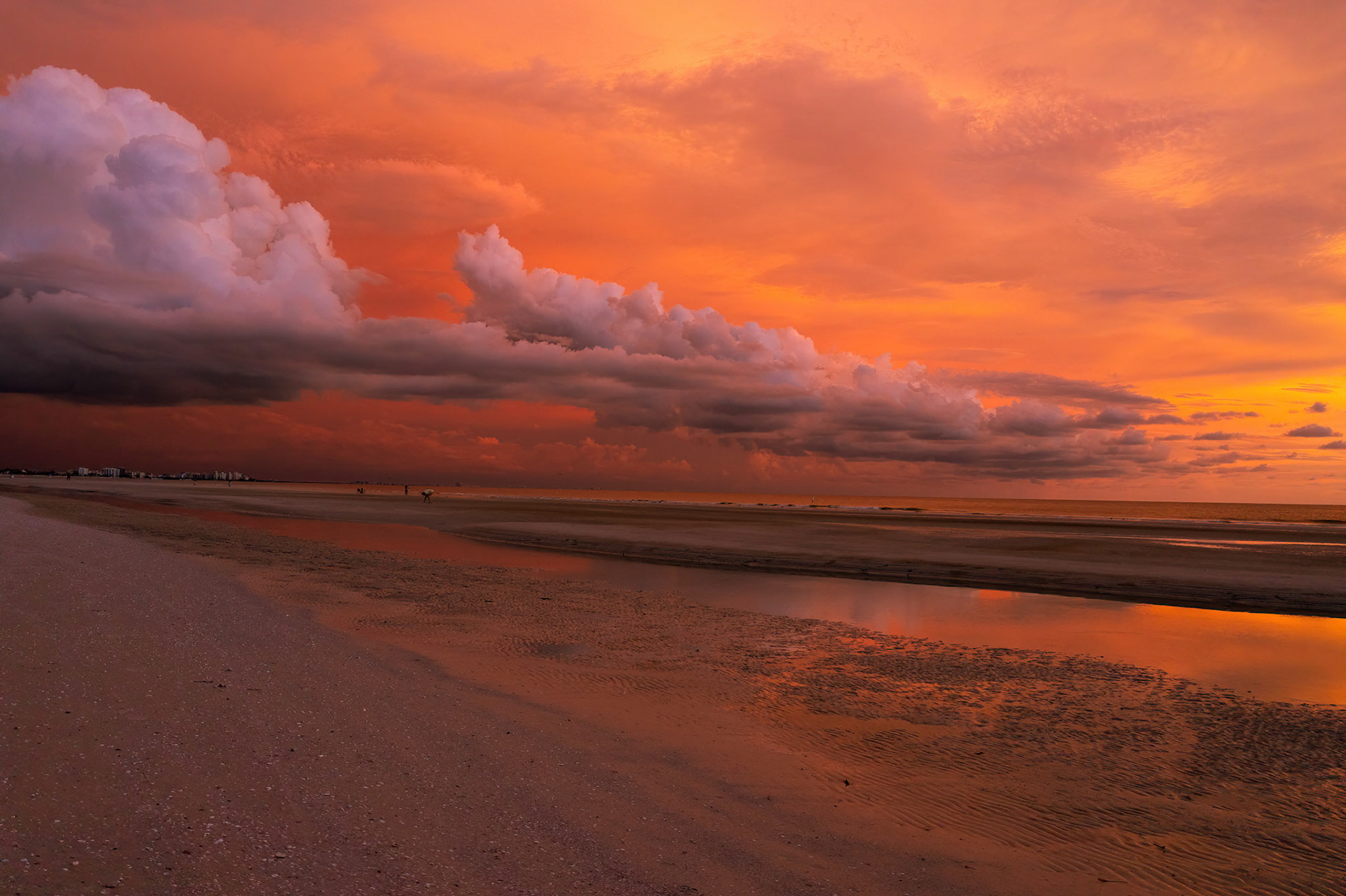 Before the Storm
