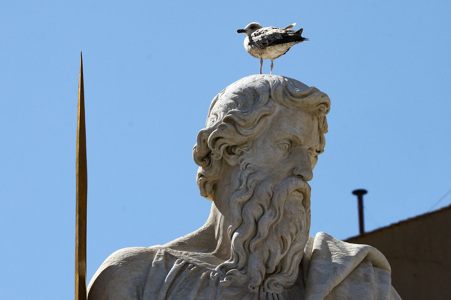 A seagull rests on a statue of St. Paul near the chimney on the Vatican's Sistine Chapel May 8, 2025, the second day of the conclave. (OSV News photo/Kevin Coombs, Reuters)