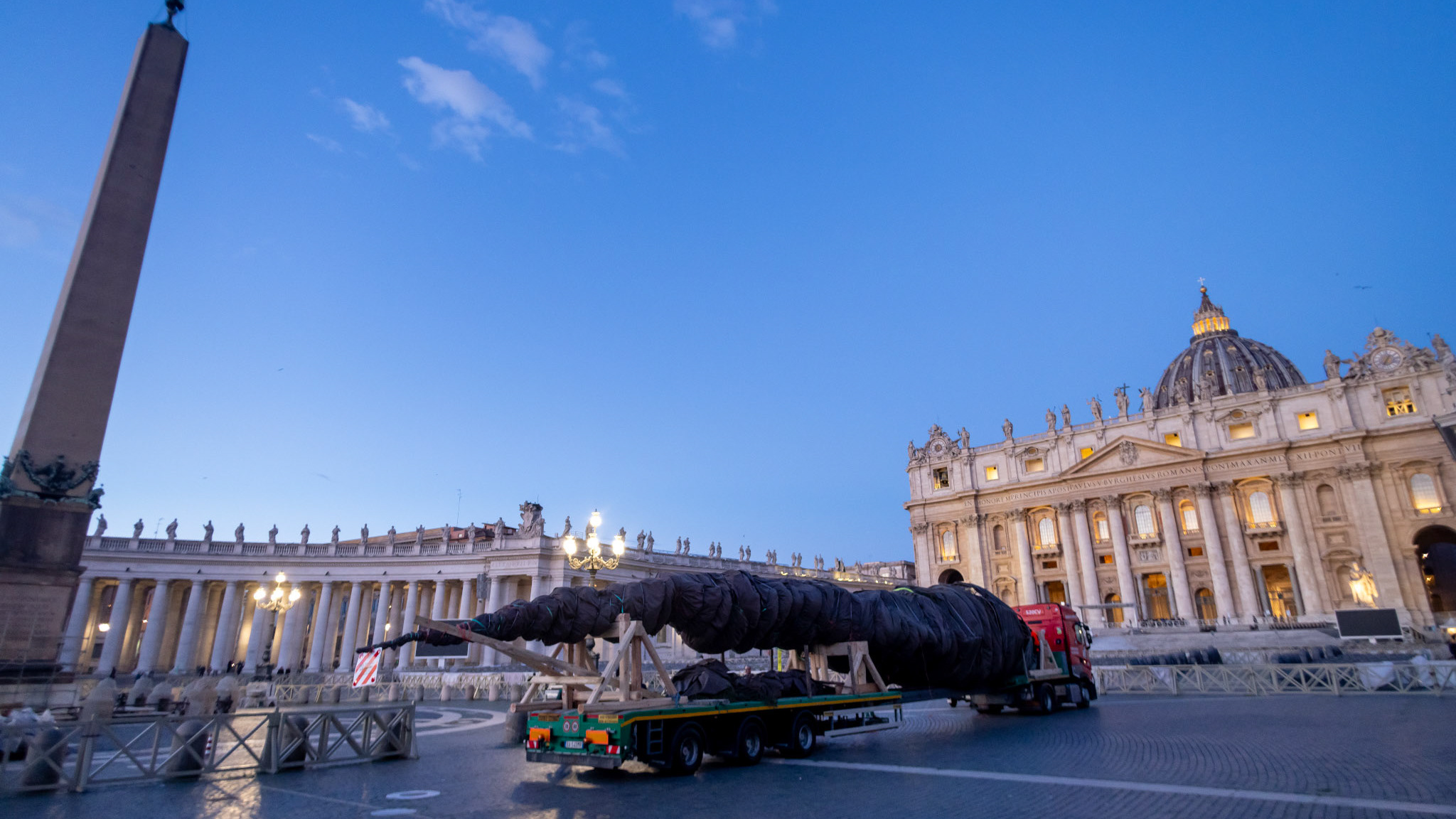 Texas Catholic Herald Vatican Christmas Tree arrives