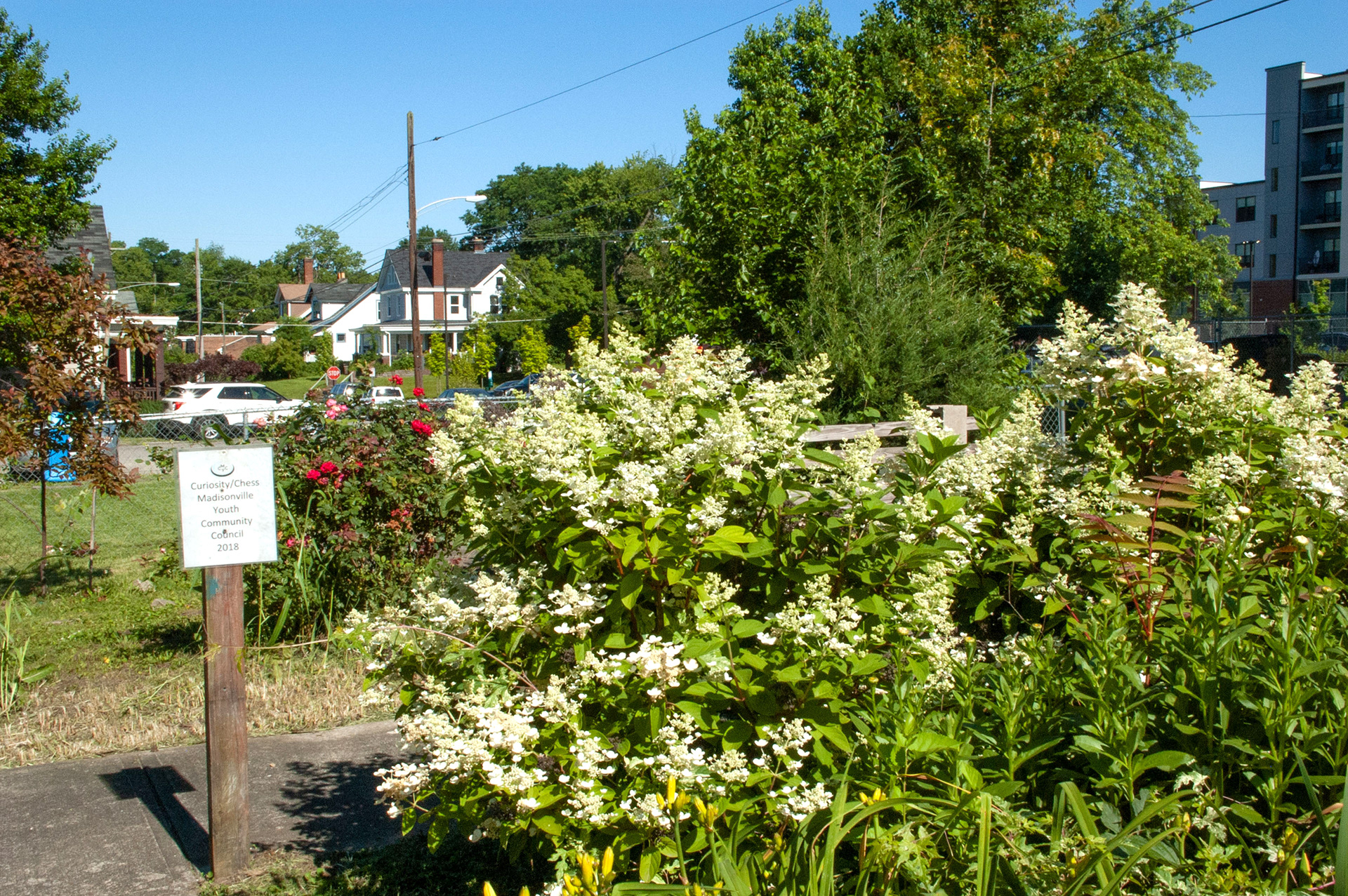 Public greenspace