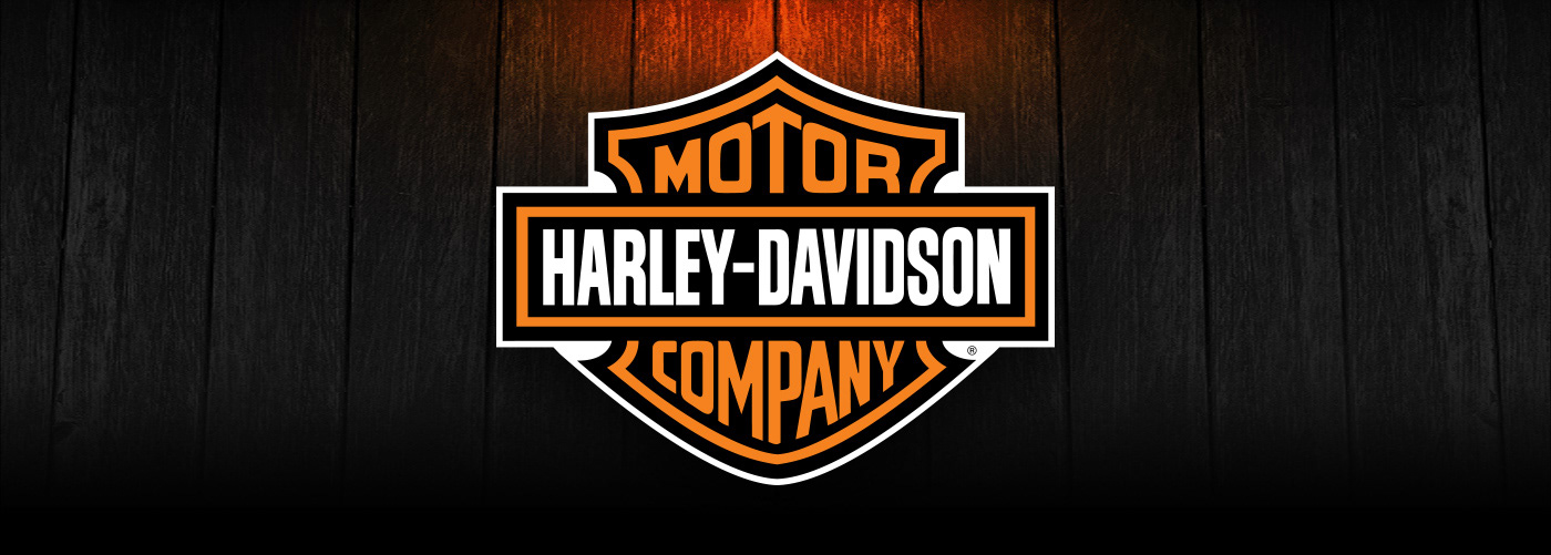 Marcelo Schultz - Harley Davidson Poster