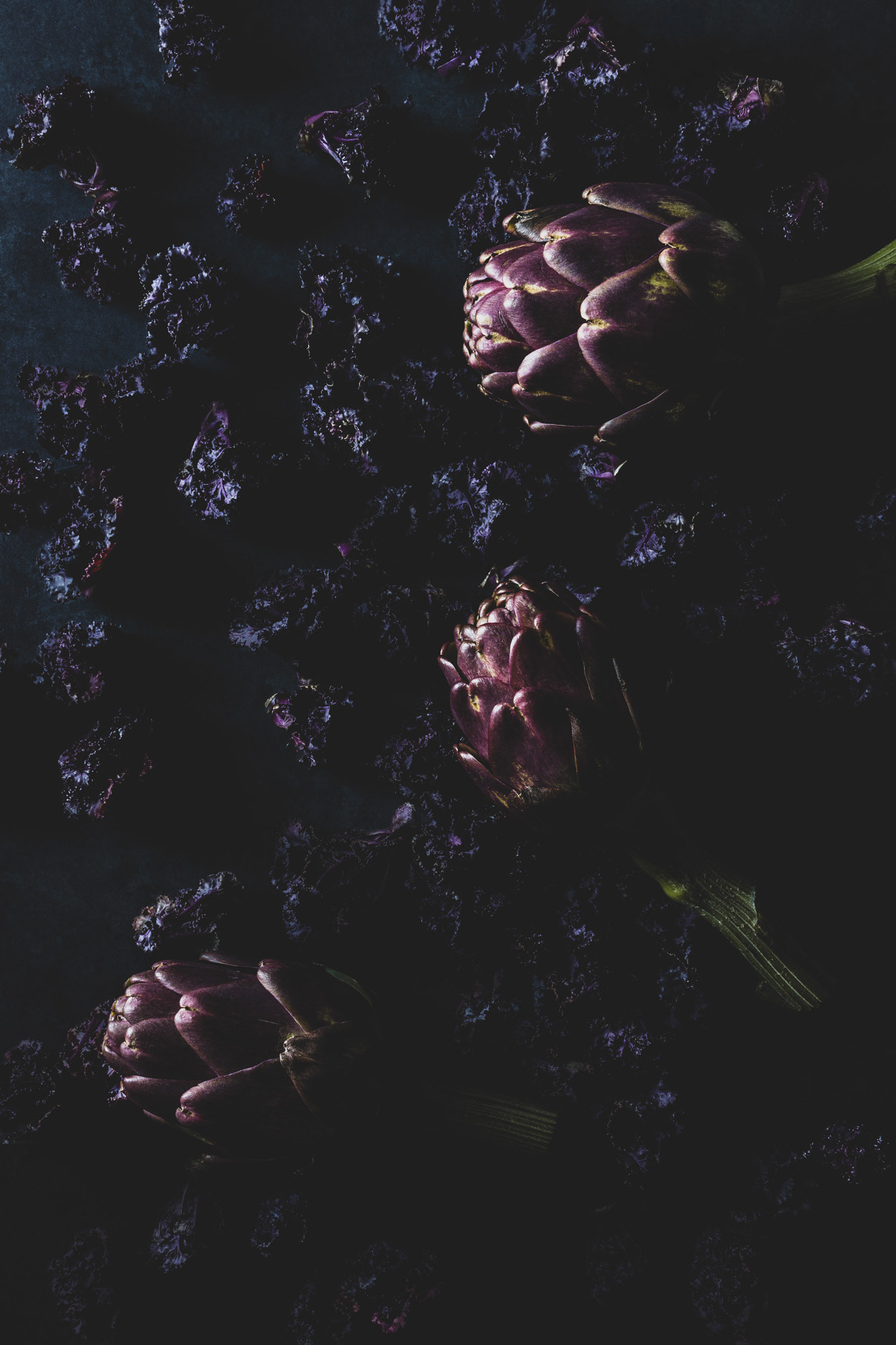 Purple artichokes on a bed of purple brussel sprouts. Dark and moody atmosphere.