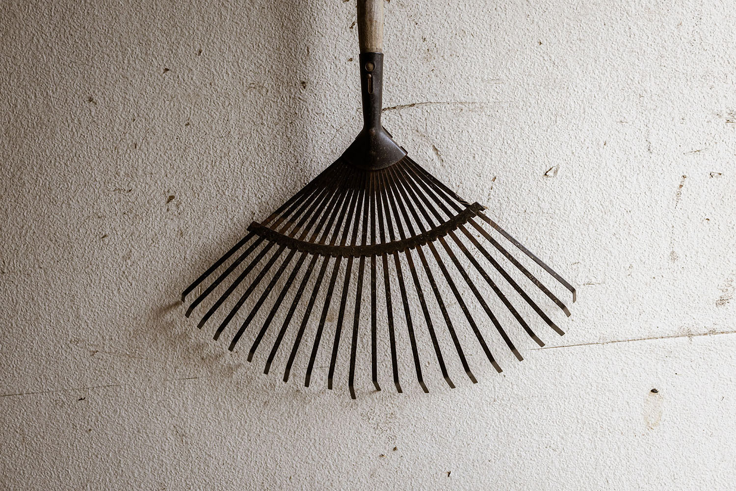 A rake hanging in a garden shed.