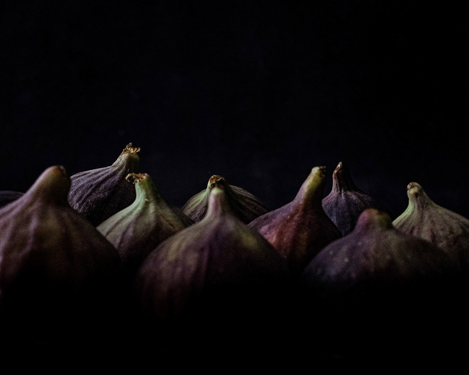 Close up of figs, side light, dark mood.