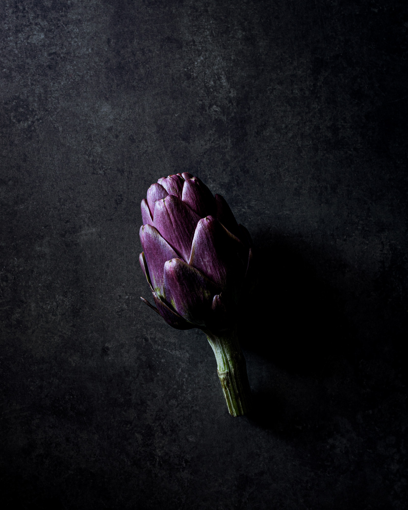 Purple artichoke partially hidden in shadows, illuminated by light from top left on dark background. Dark and moody atmosphere.