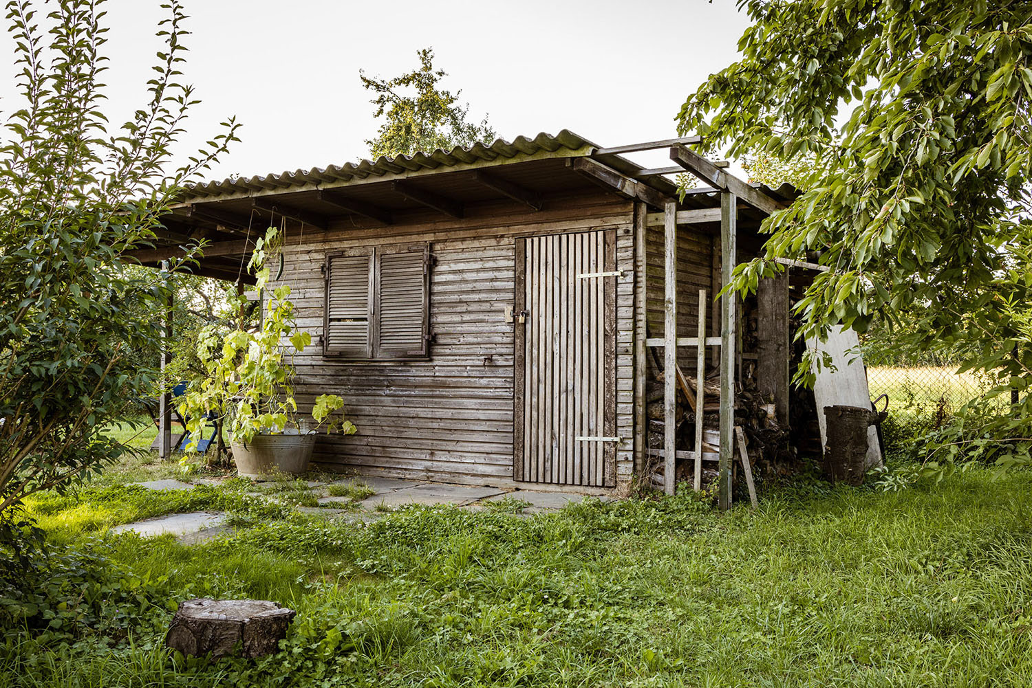 A wooden garden shed.