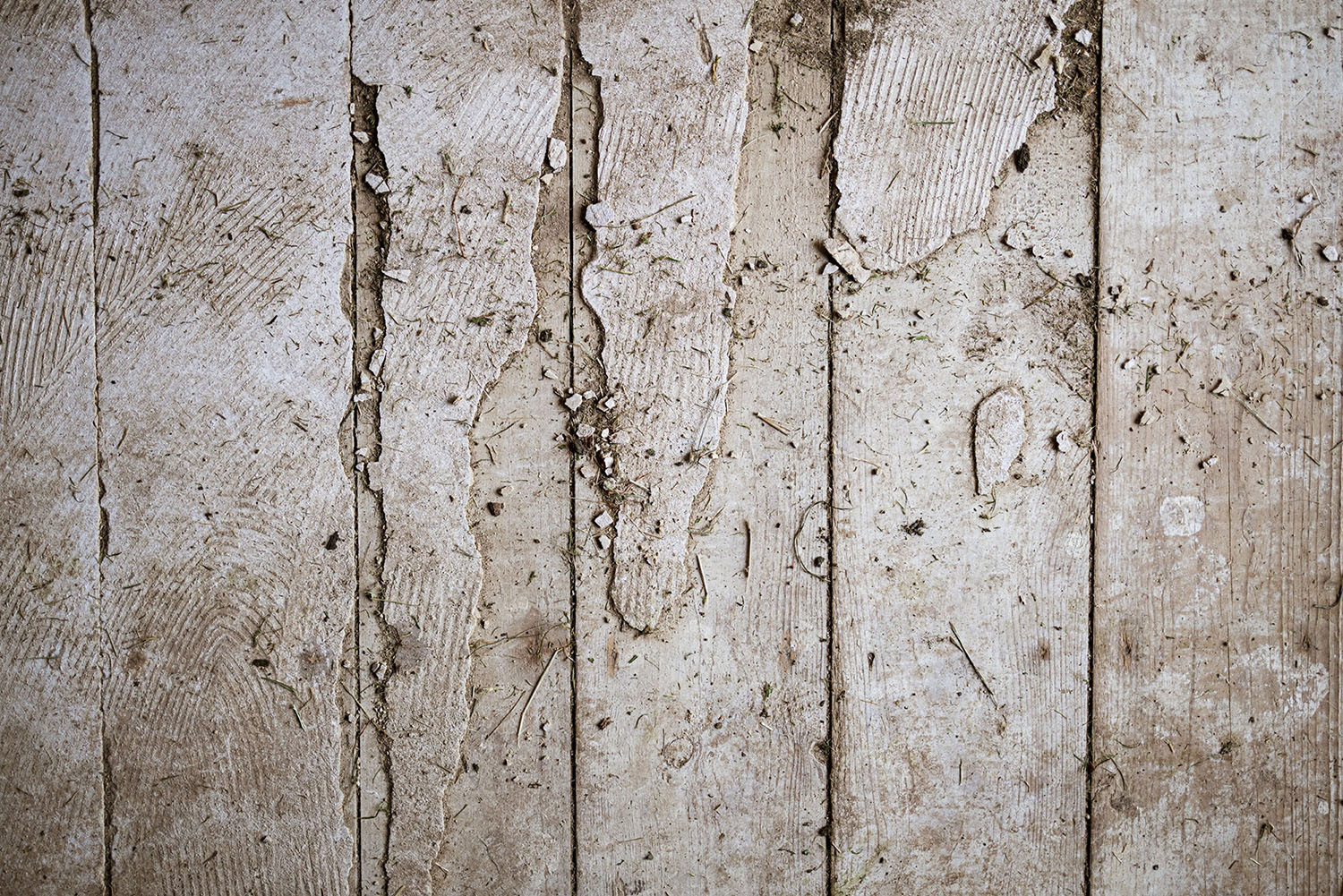 Chipped and dirty wooden floorboards in a garden shed