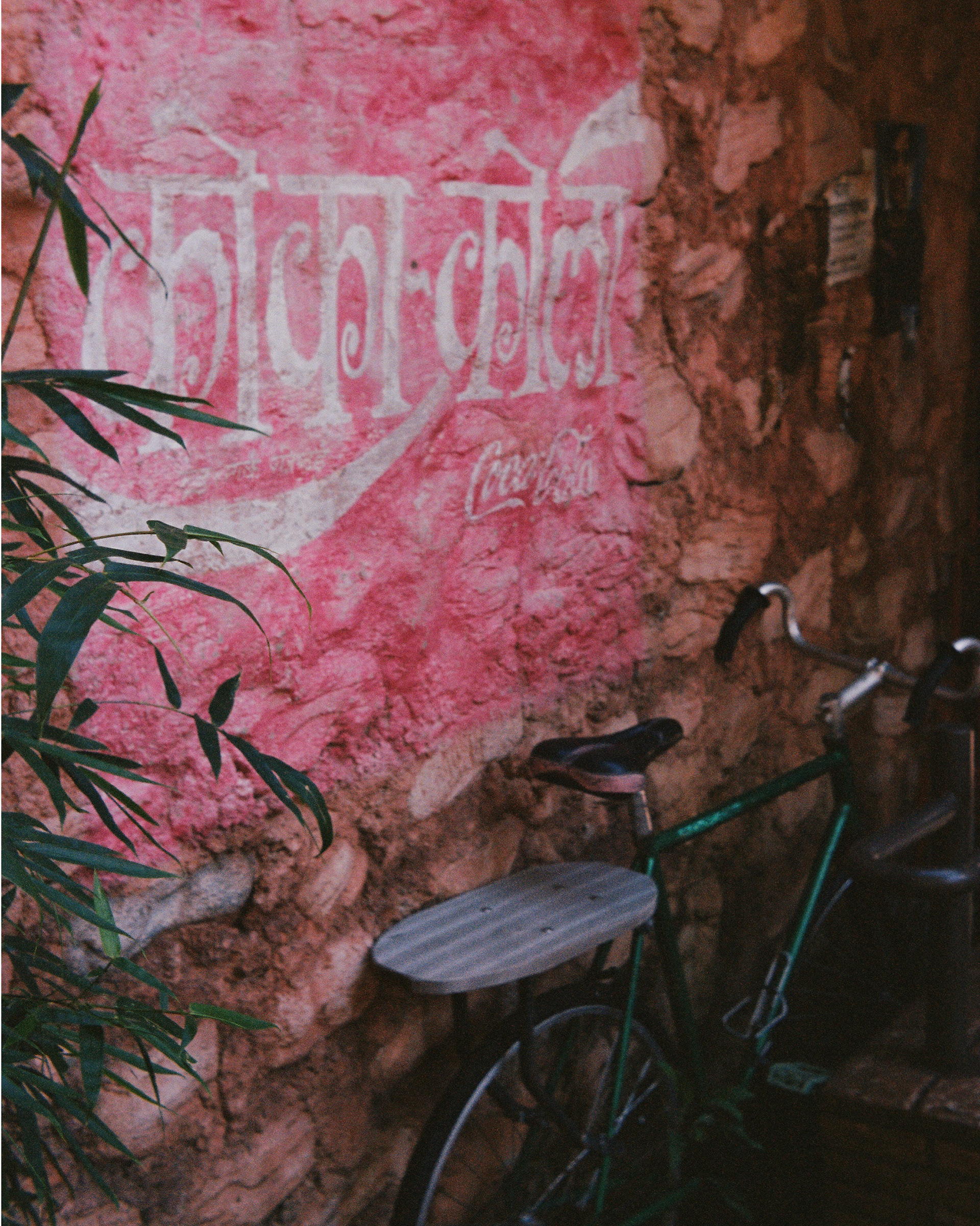 DISNEY'S ANIMAL KINGDOM 2022