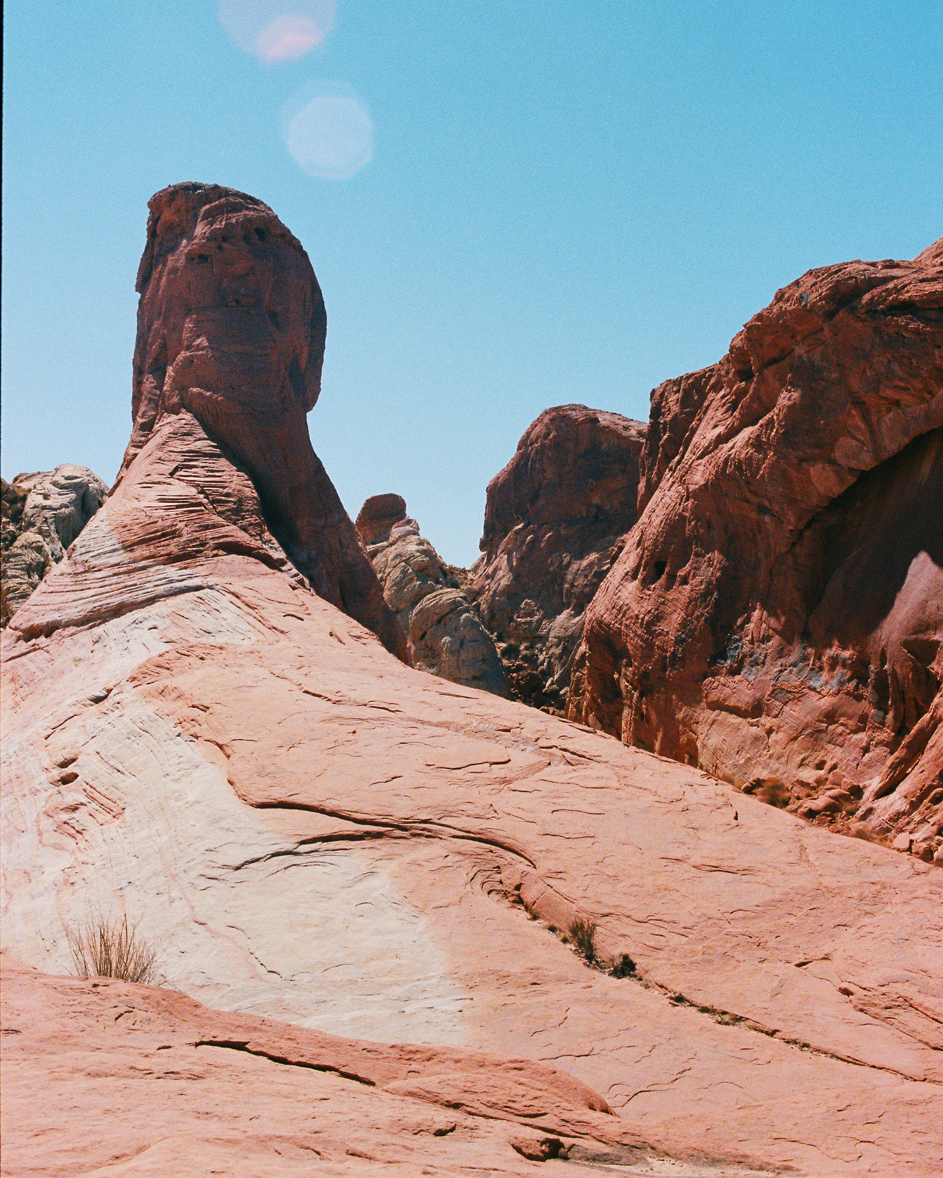 VALLEY OF FIRE 2021