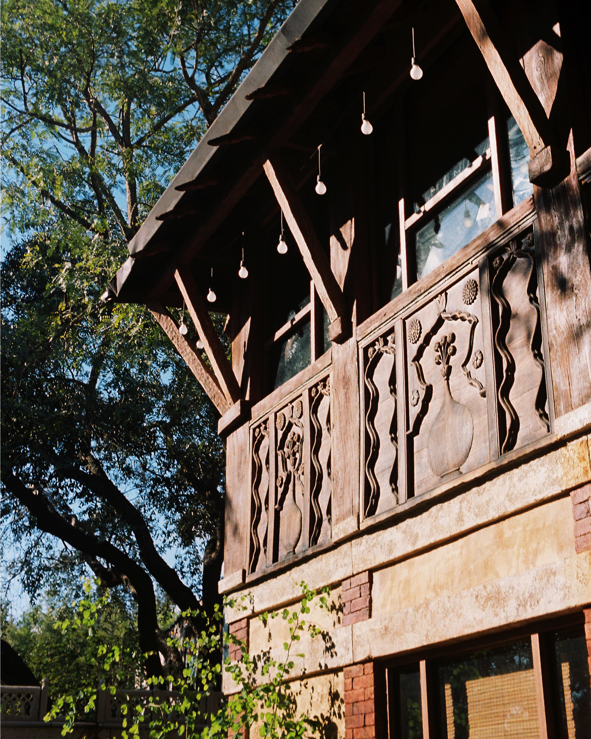 DISNEY'S ANIMAL KINGDOM 2022