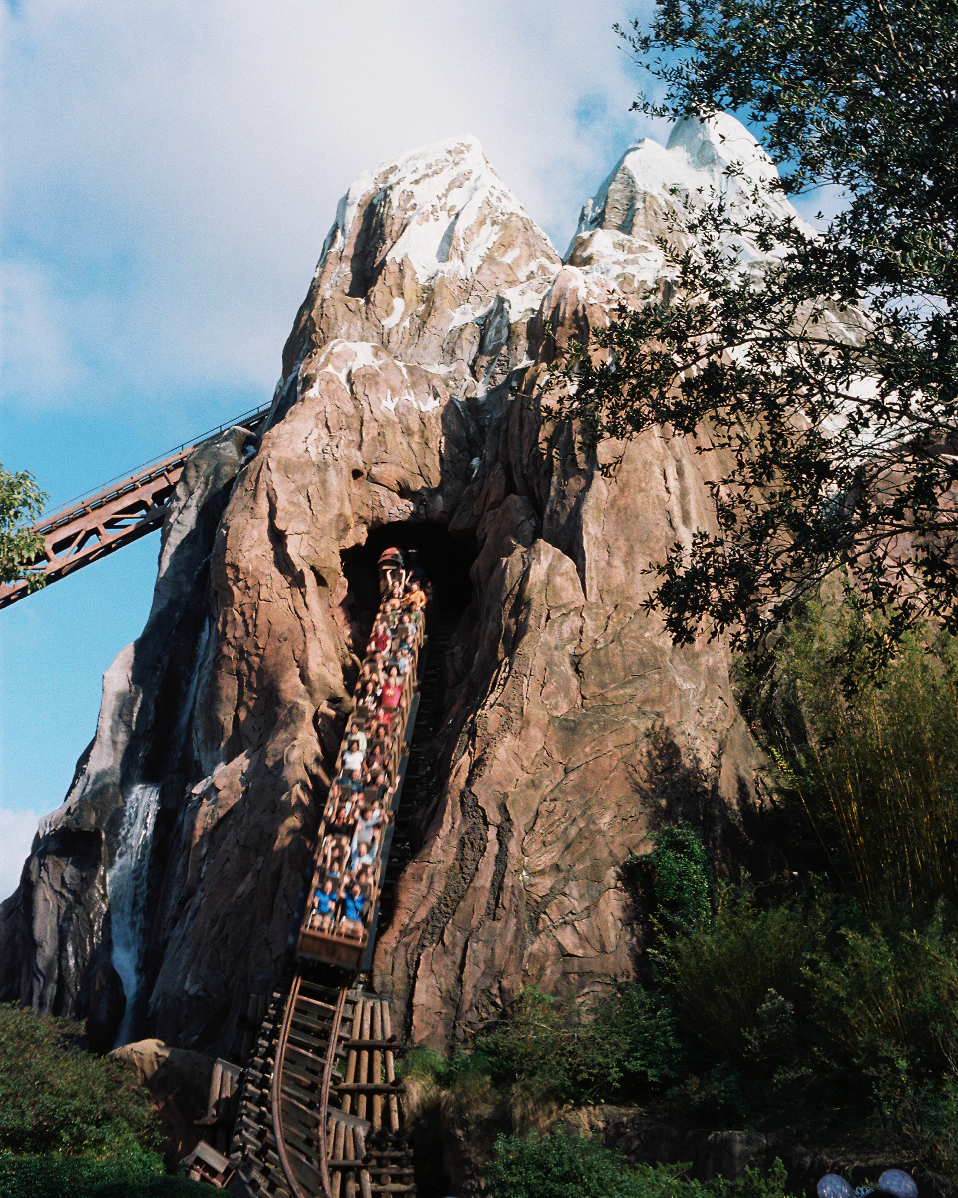 DISNEY'S ANIMAL KINGDOM 2022