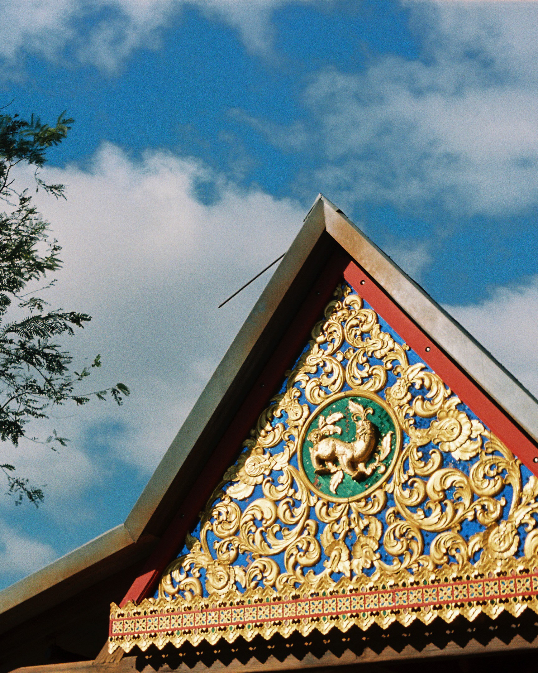 DISNEY'S ANIMAL KINGDOM 2022