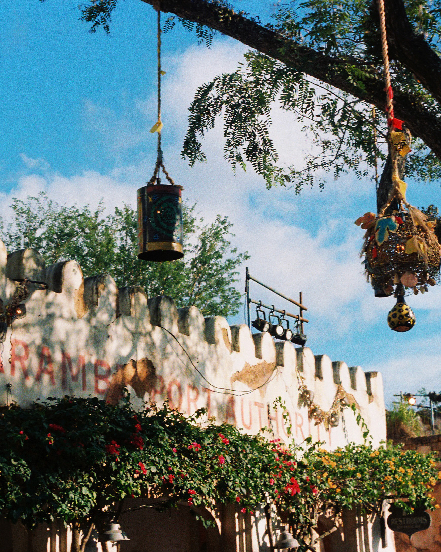 DISNEY'Y ANIMAL KINGDOM 2022