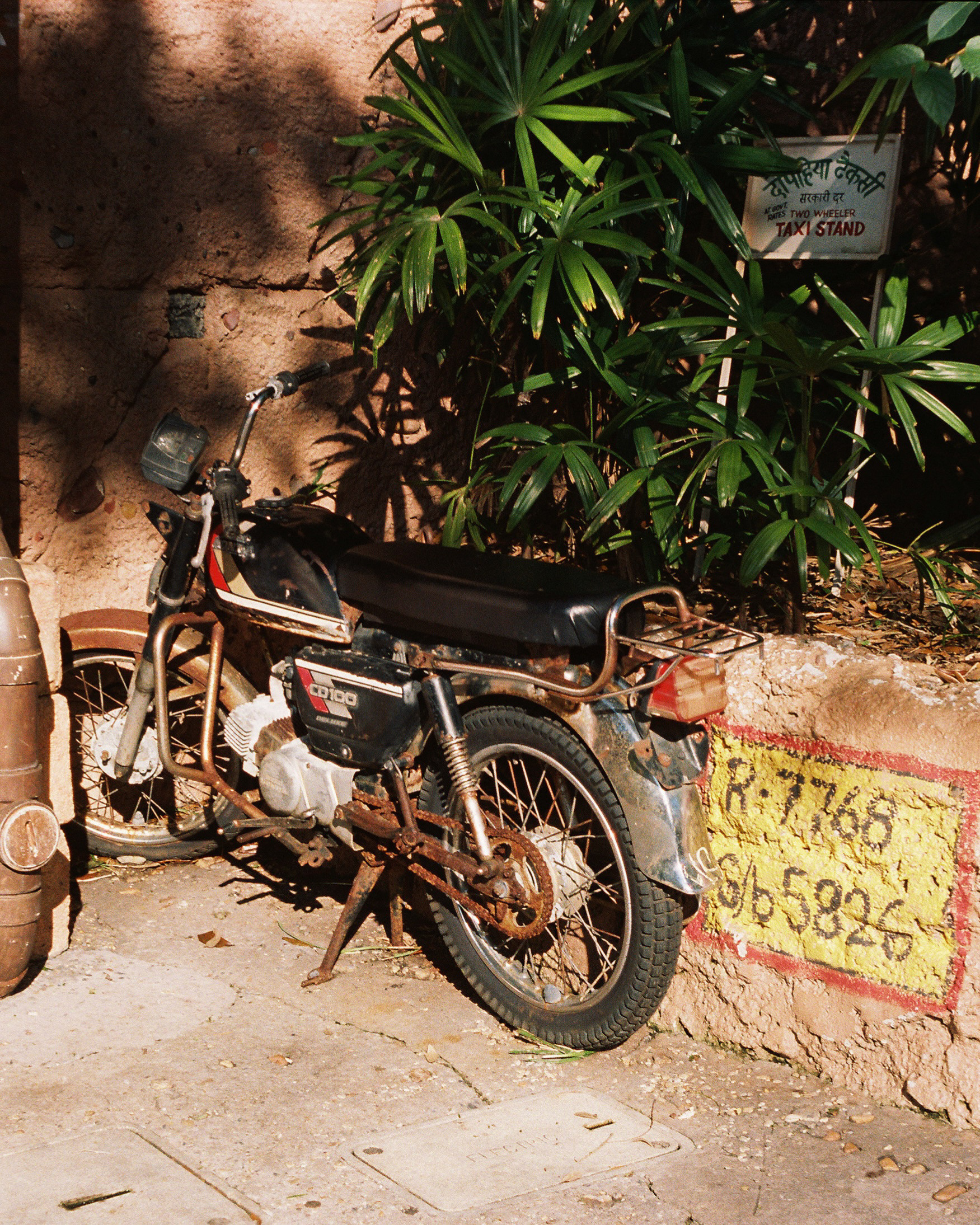 DISNEY'S ANIMAL KINGDOM 2022