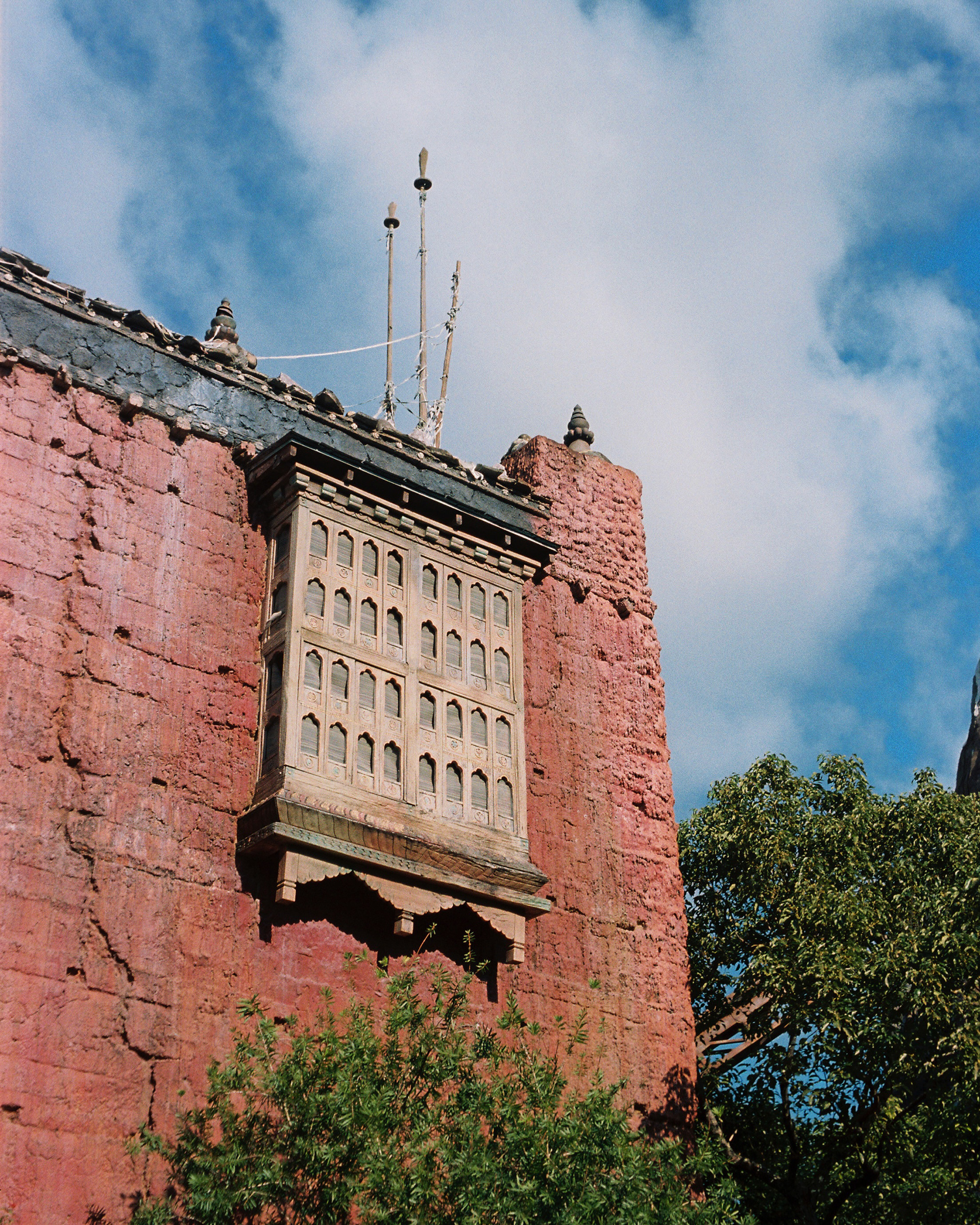 DISNEY'S ANIMAL KINGDOM 2022