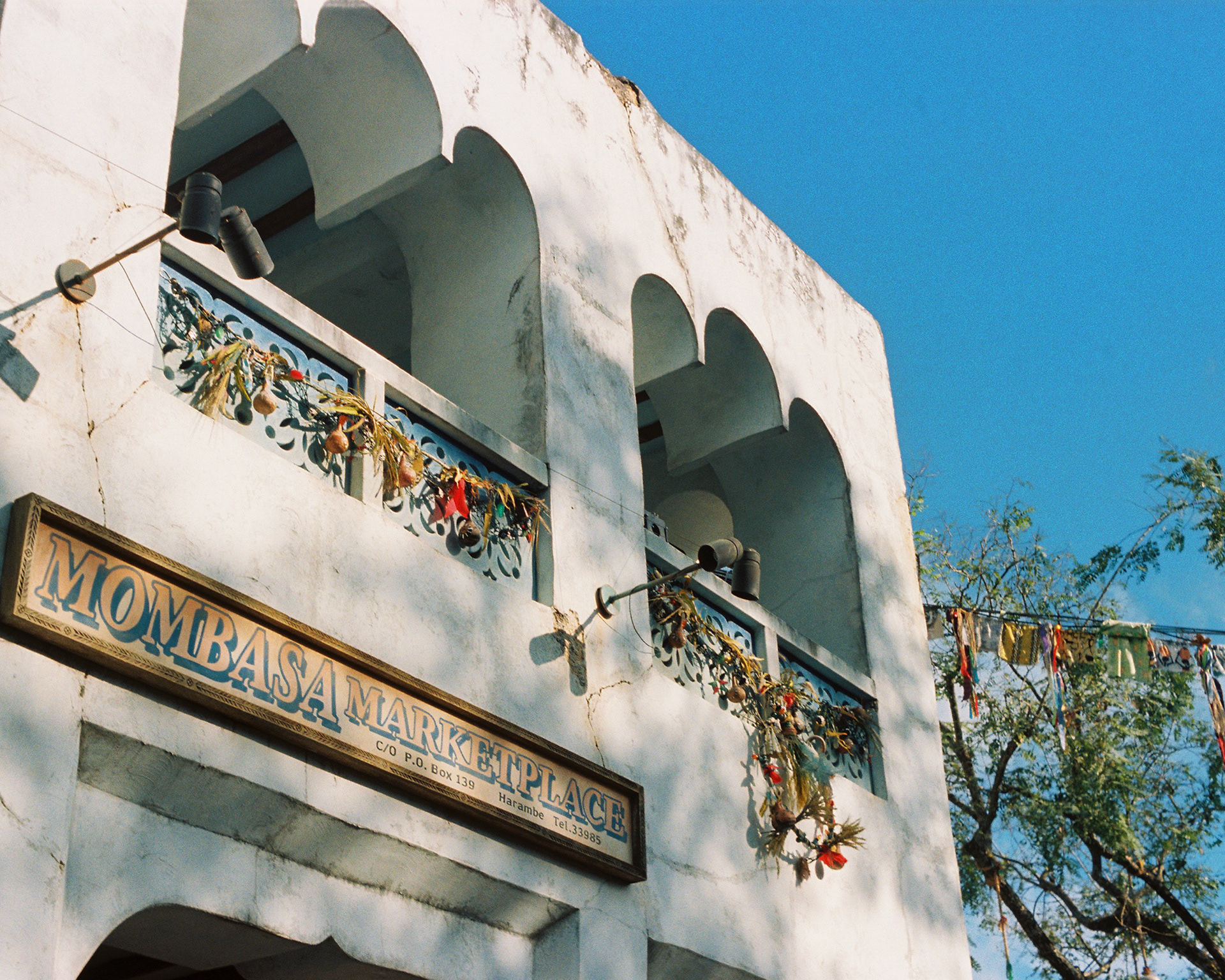 DISNEY'S ANIMAL KINGDOM 2022