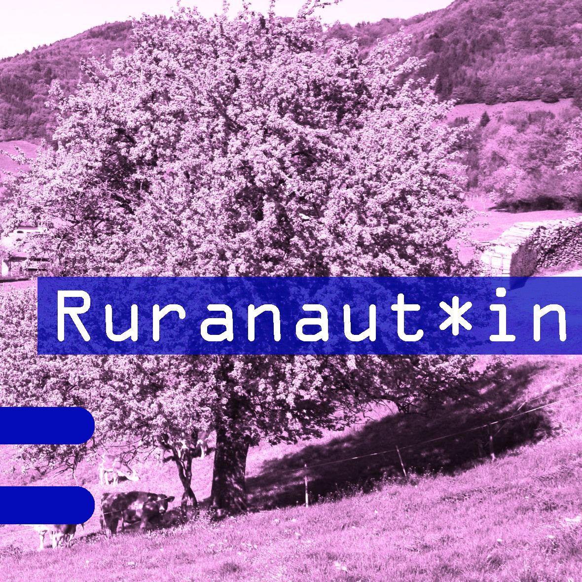 Definition Ruranauten