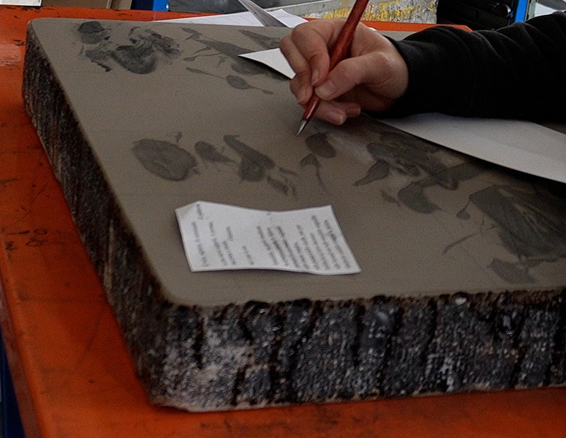 durante la fase di disegno