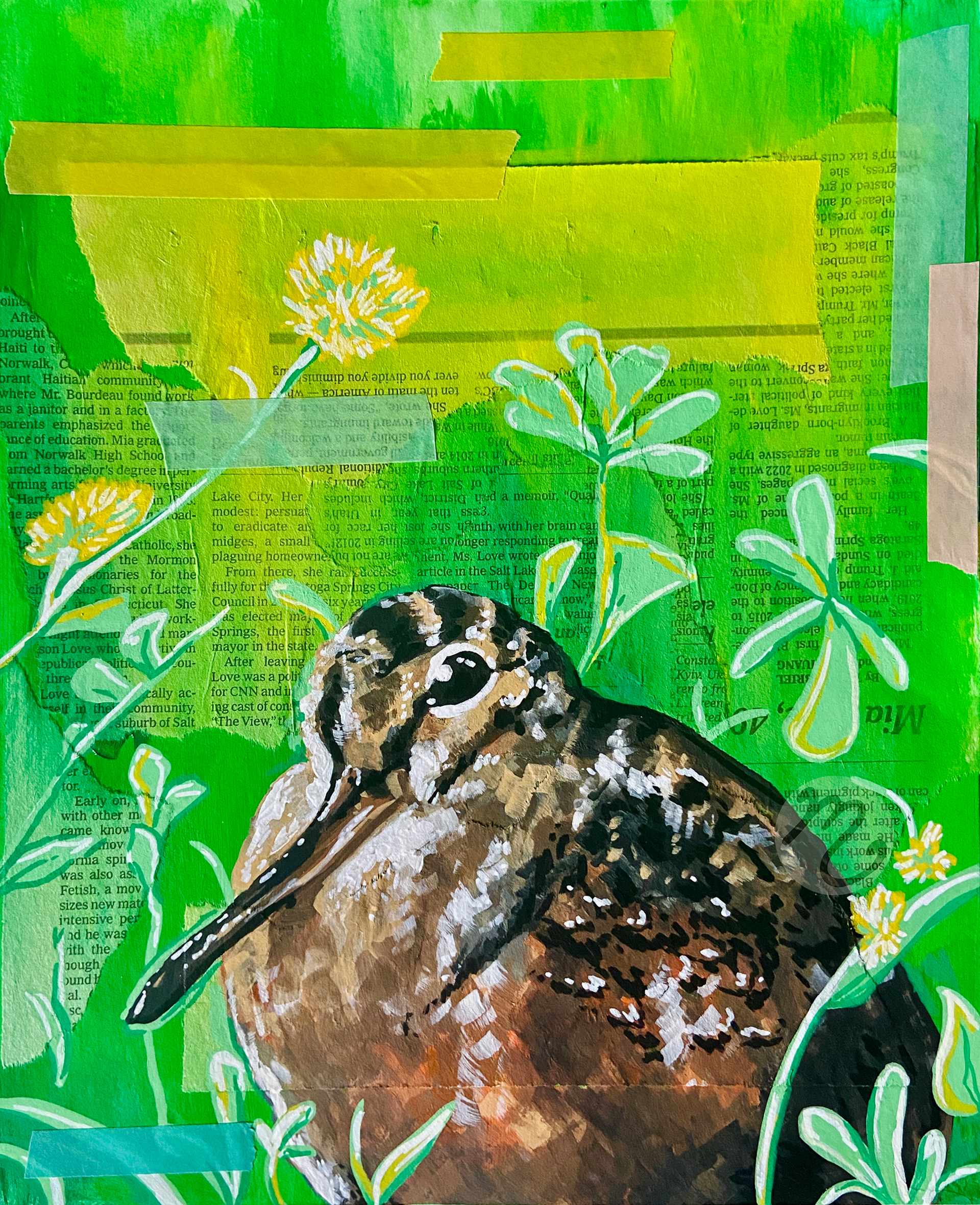 Woodcock, mixed media on illustration board, 8 x 10", 2025