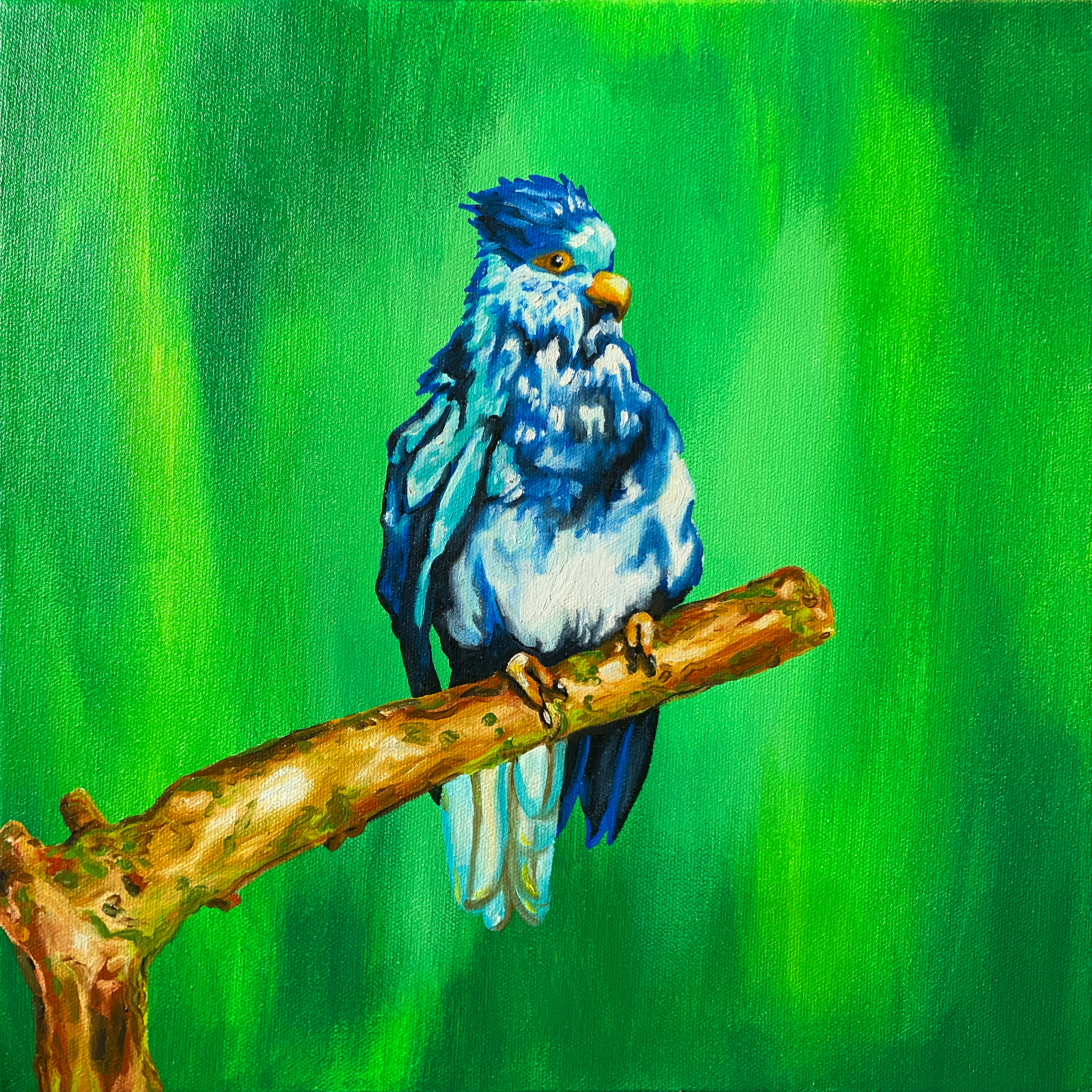 Friendly Bird, acrylic and oil on canvas, 14 x 14", 2024