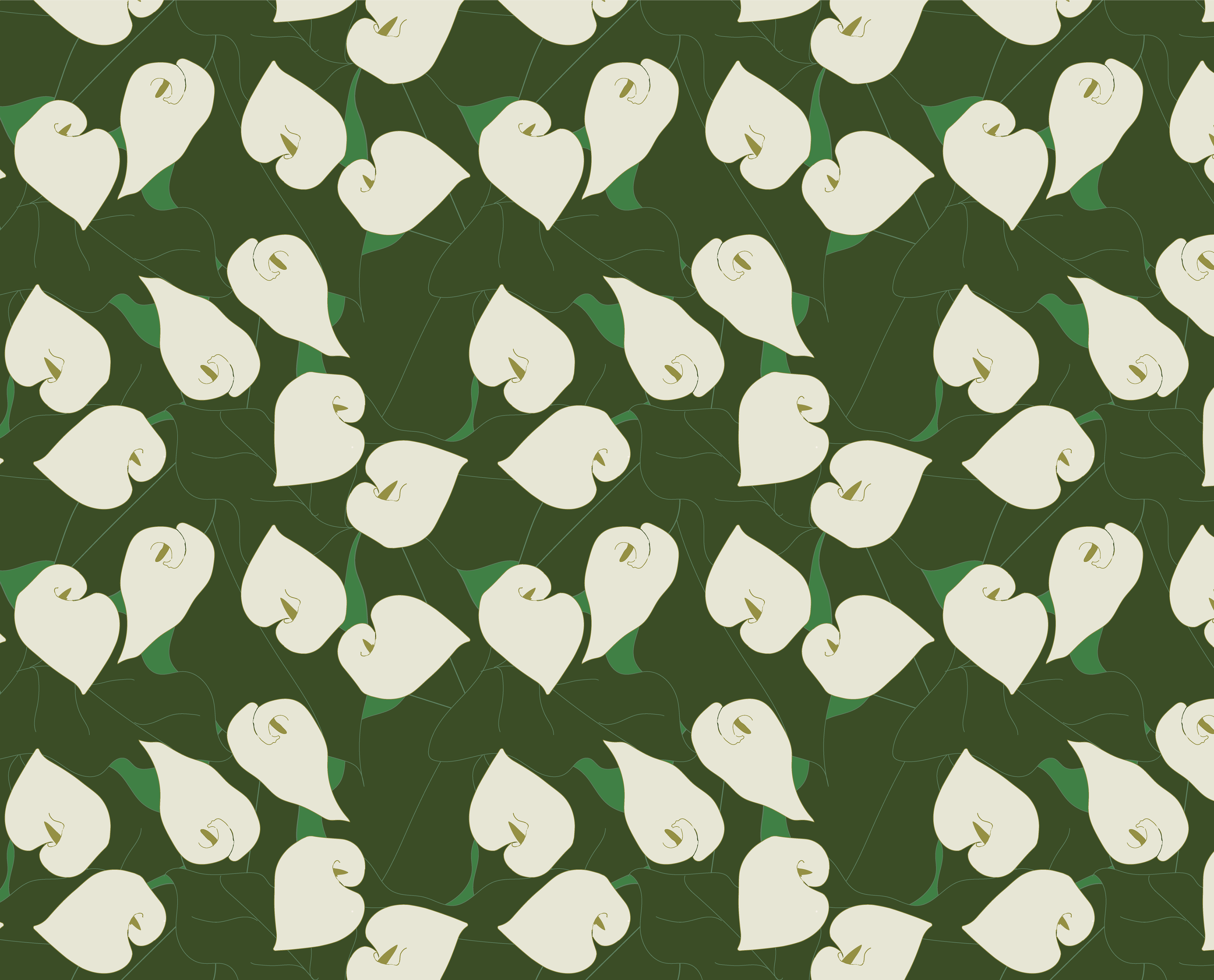 RhQA25    Cala lilies