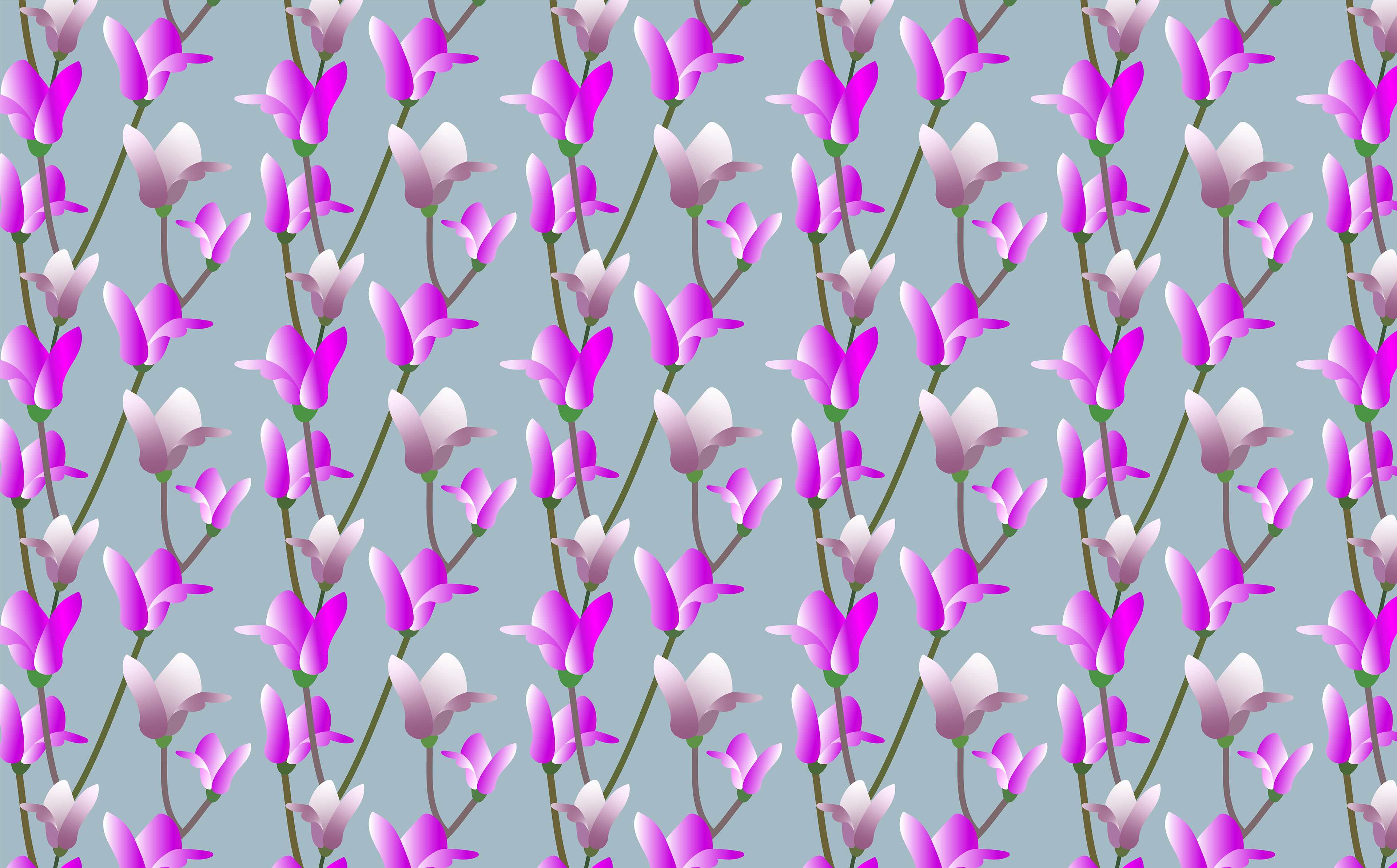 RhQA25