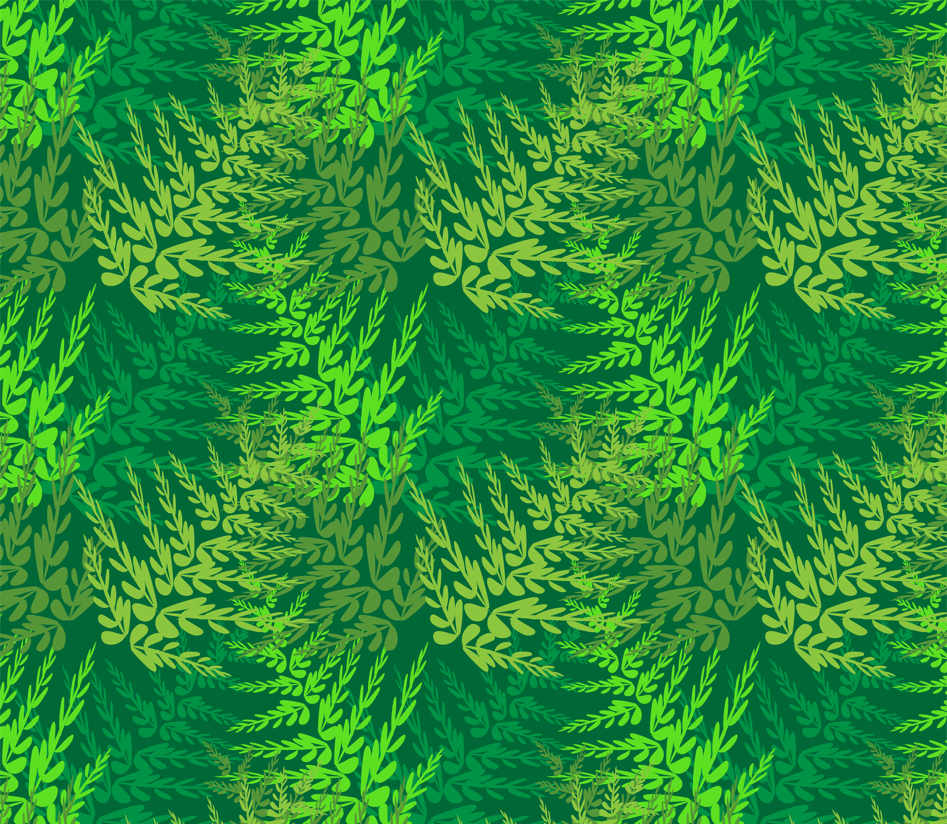 RhQA25   Ferns