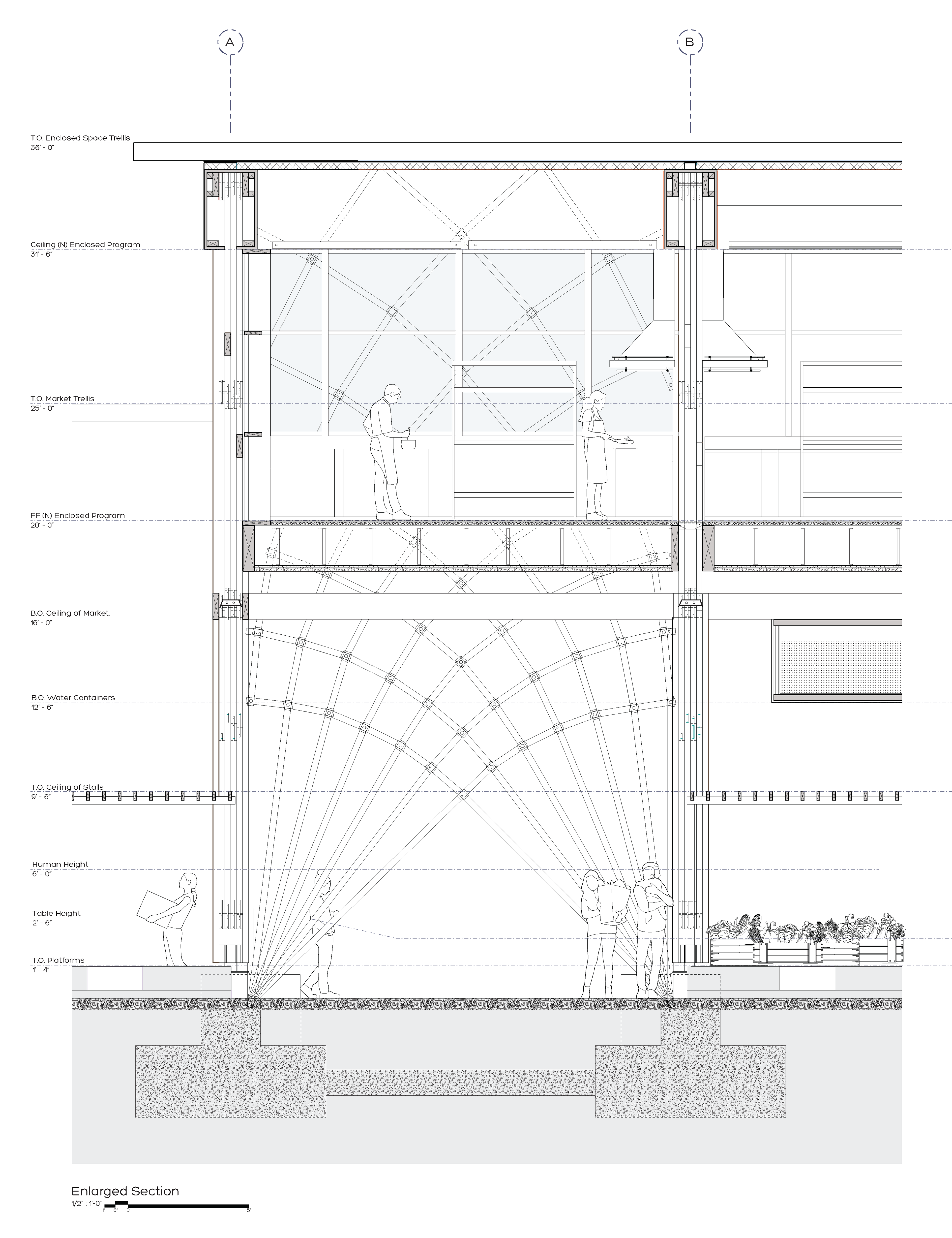 Enlarged Section