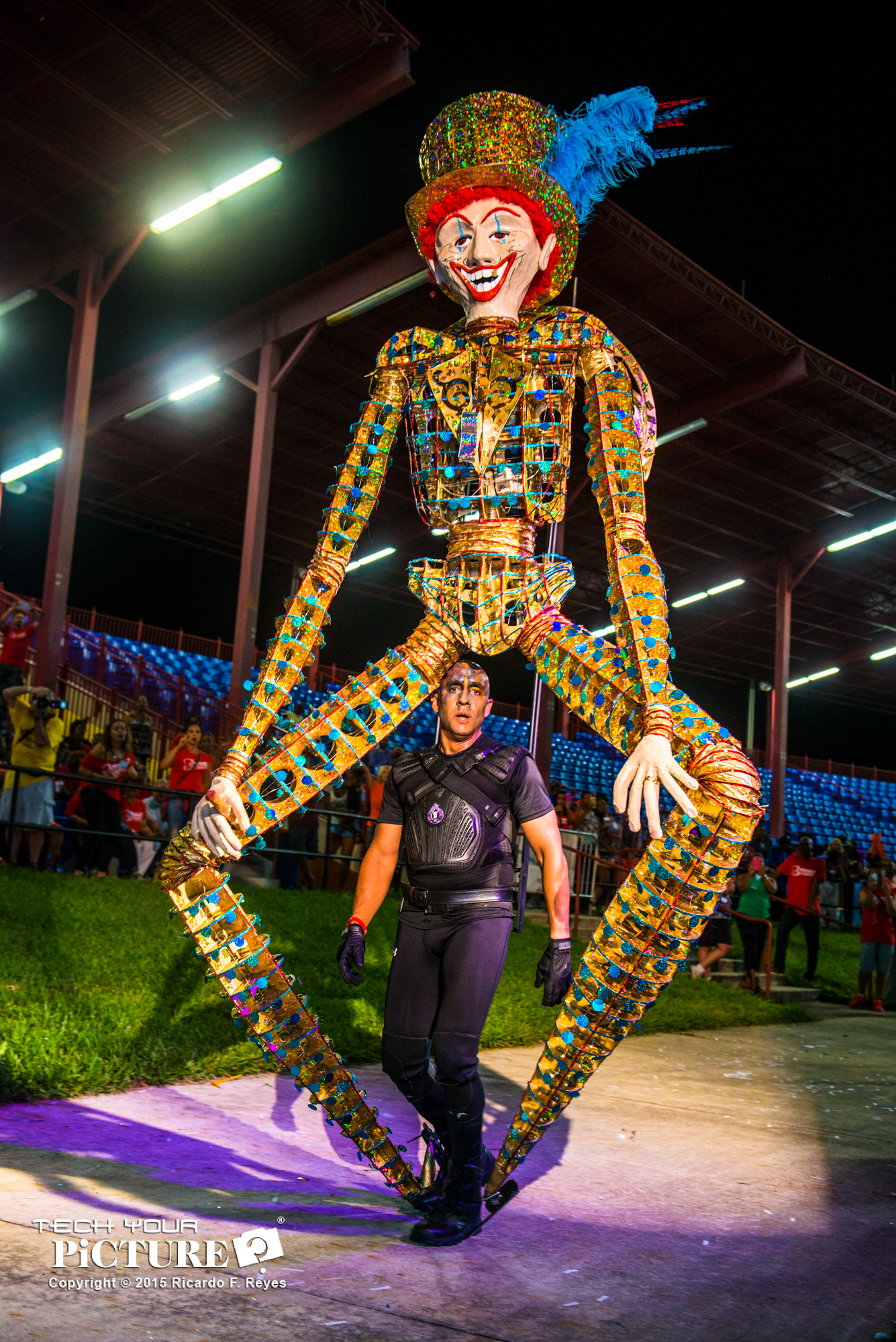 Costume Competition • 1st Place 2015 • Design & Production by Stuart & Tammy Farinha