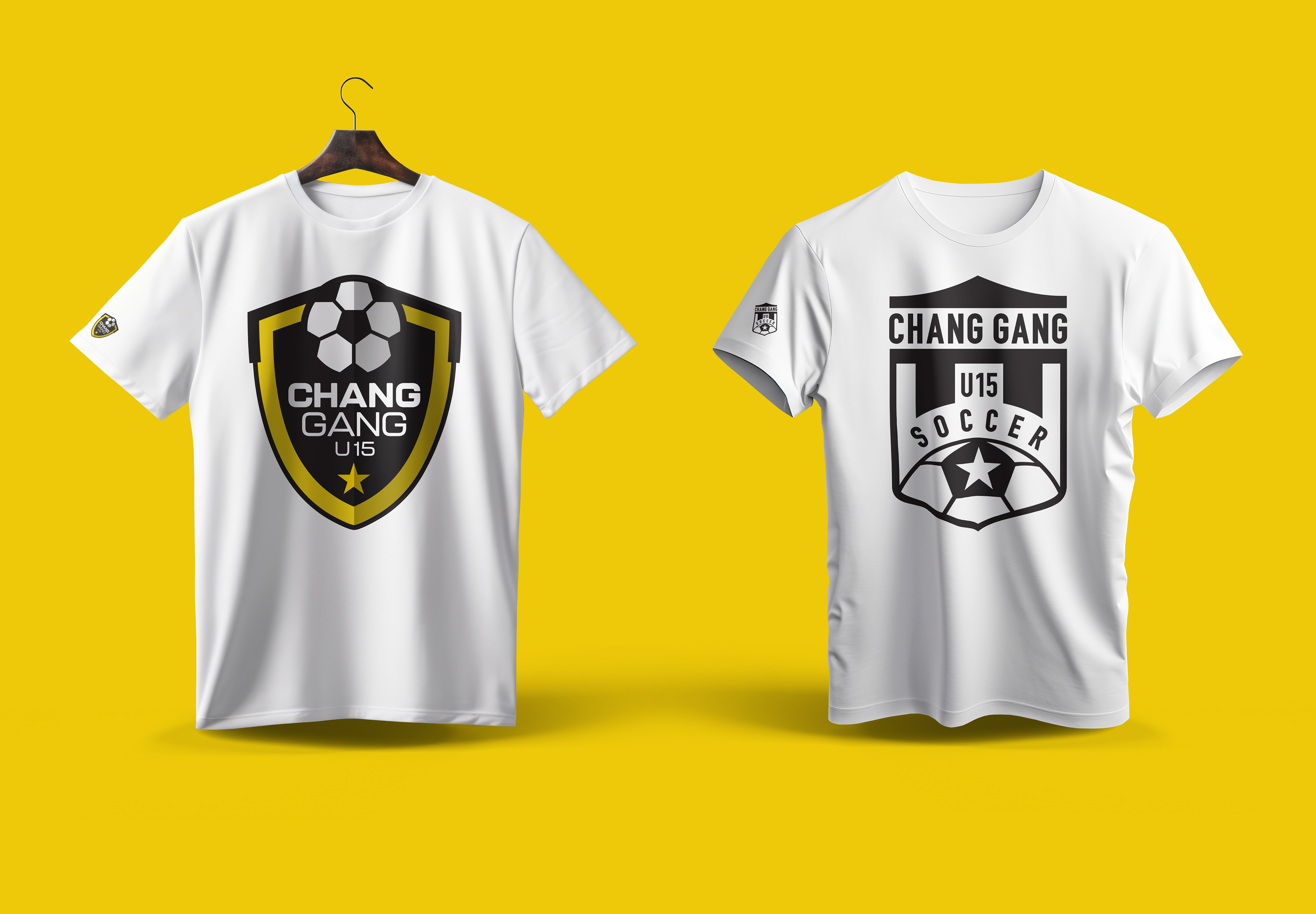 Tee Shirt Concept Designs